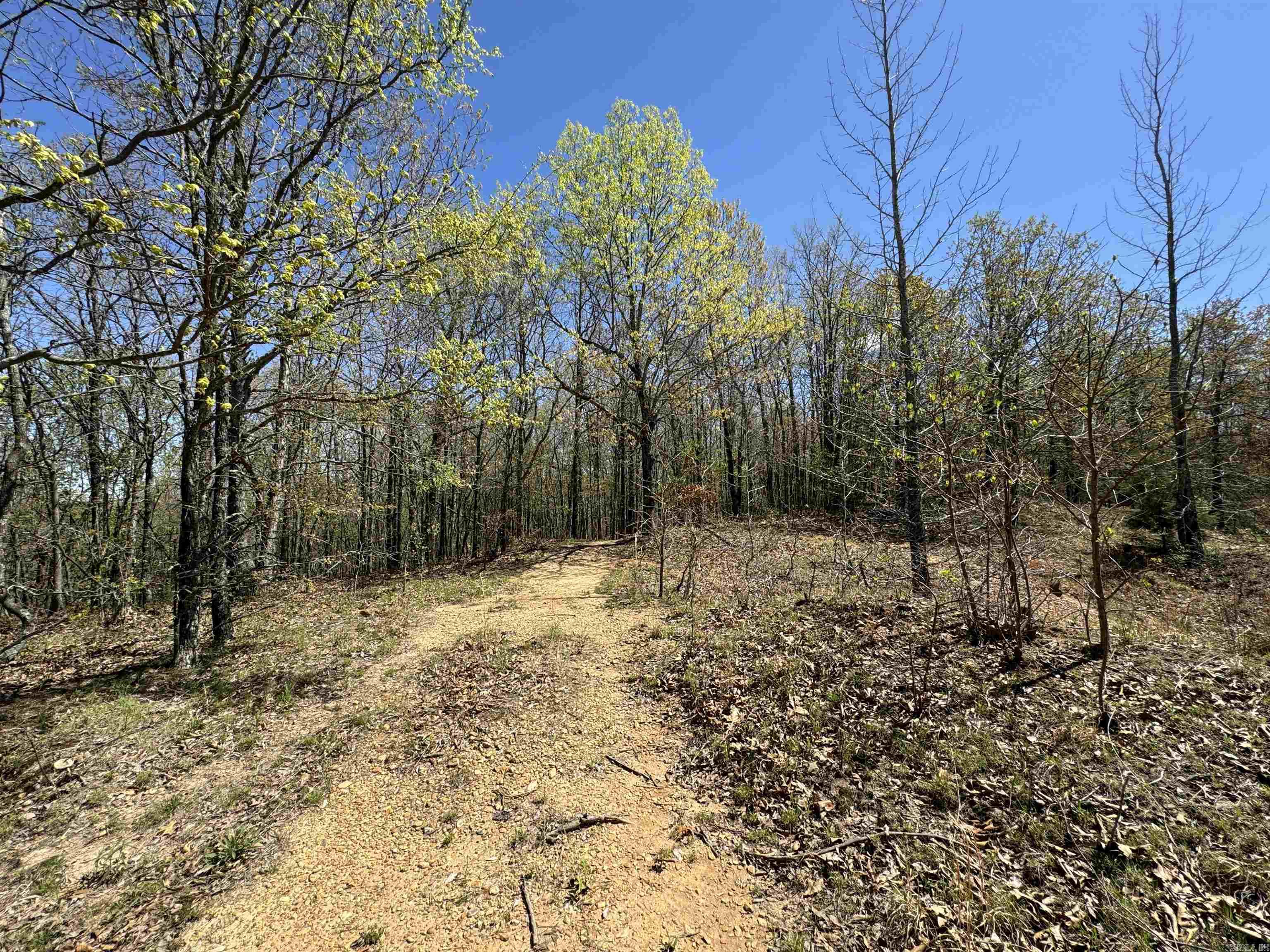 0  County Road 431  Pollard, AR
