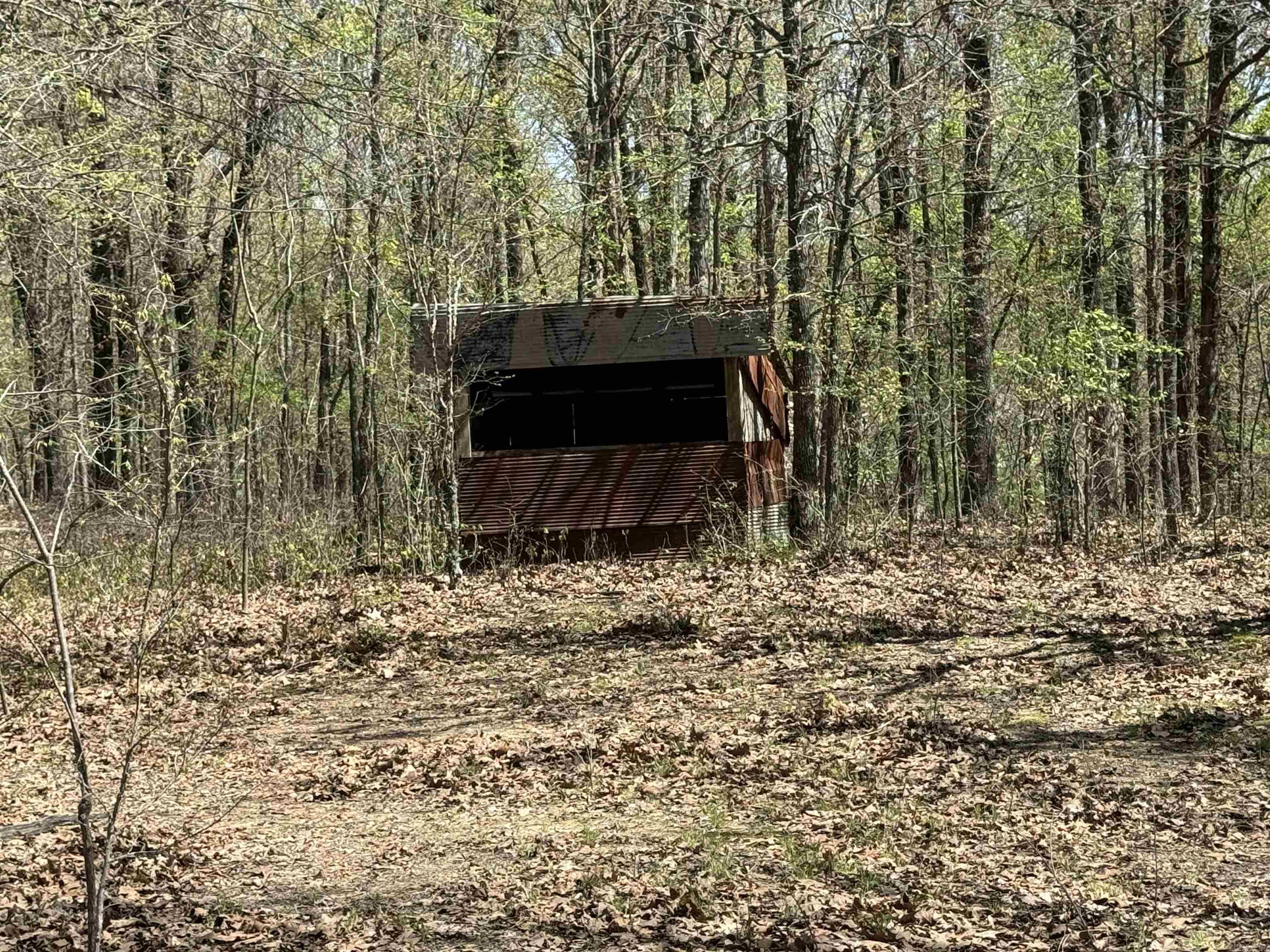 0  County Road 431  Pollard, AR