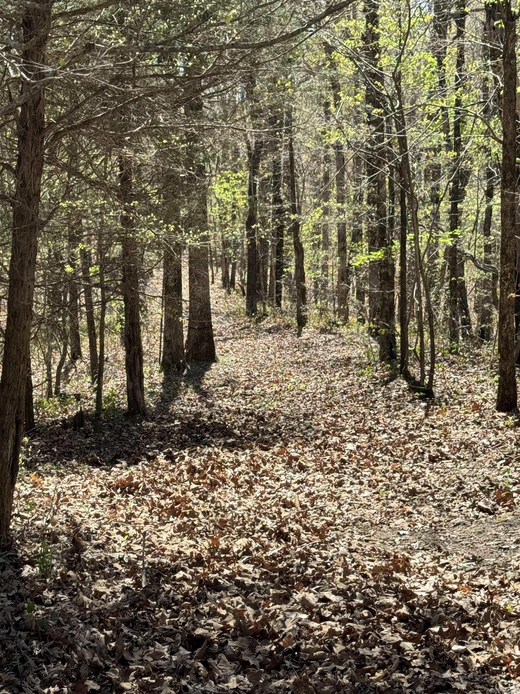 0  County Road 431  Pollard, AR