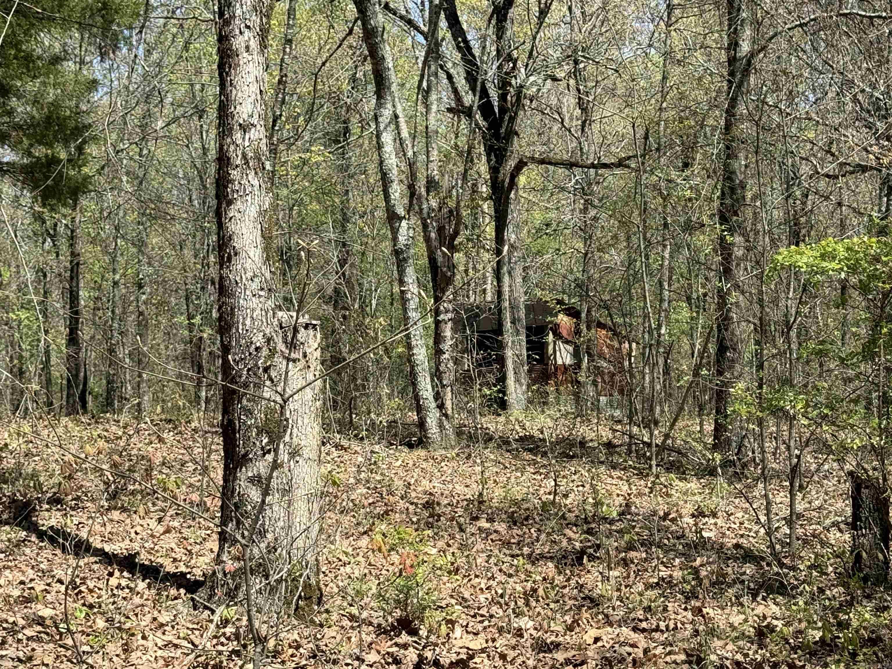 0  County Road 431  Pollard, AR