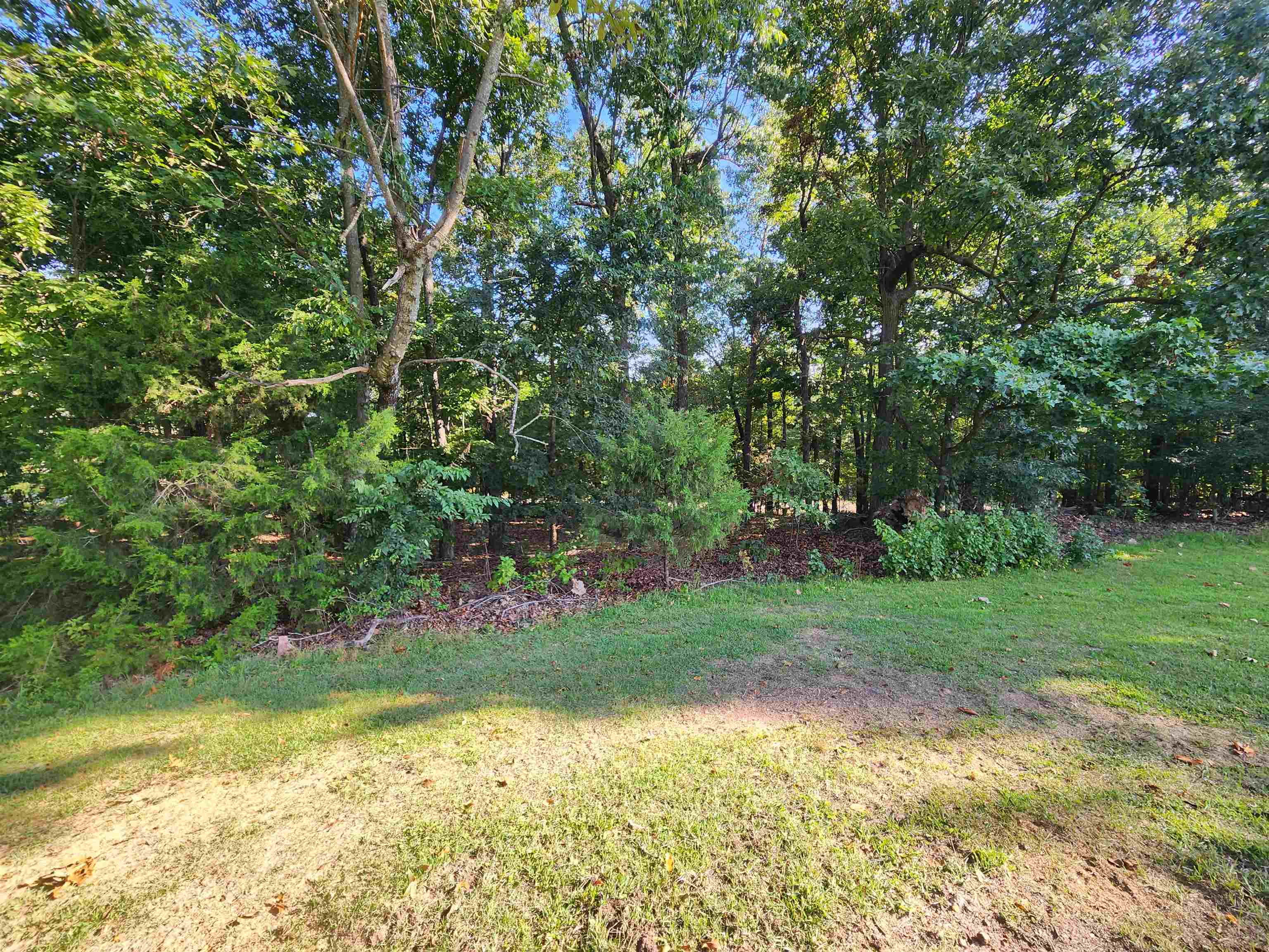   Katsina  Cherokee Village, AR
