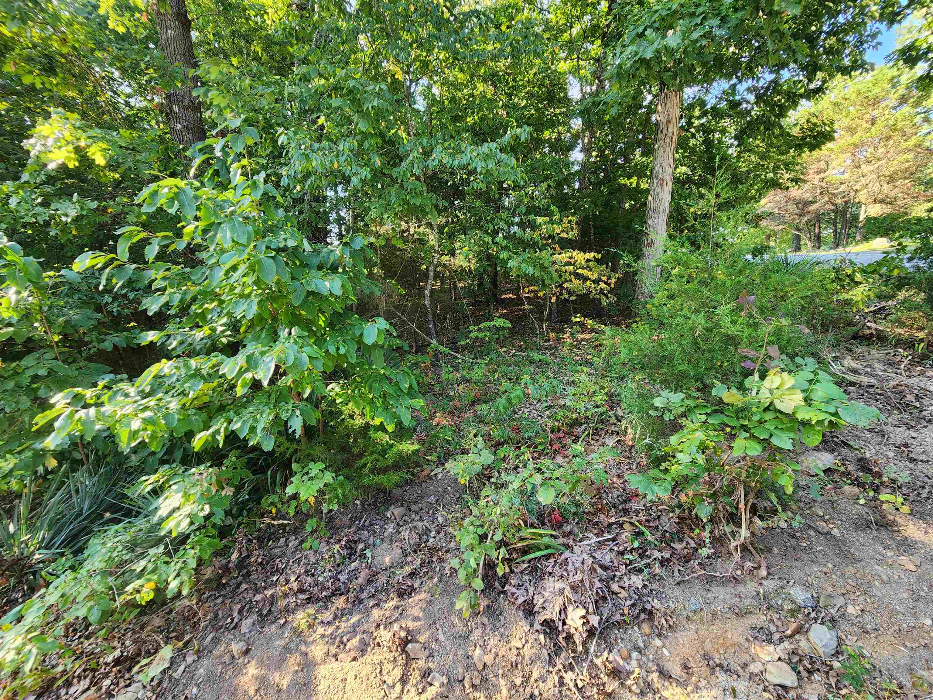   Katsina  Cherokee Village, AR