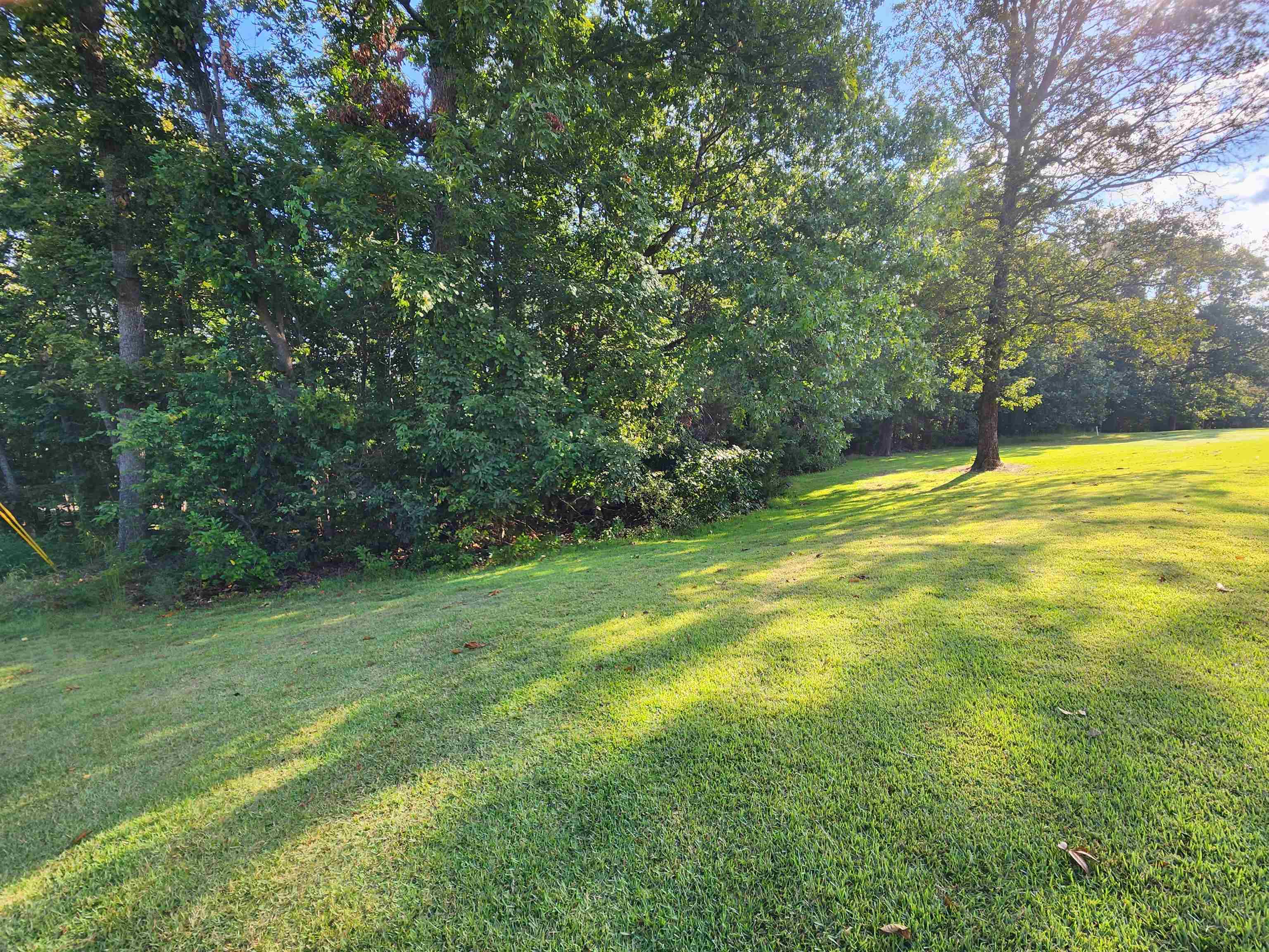   Katsina  Cherokee Village, AR