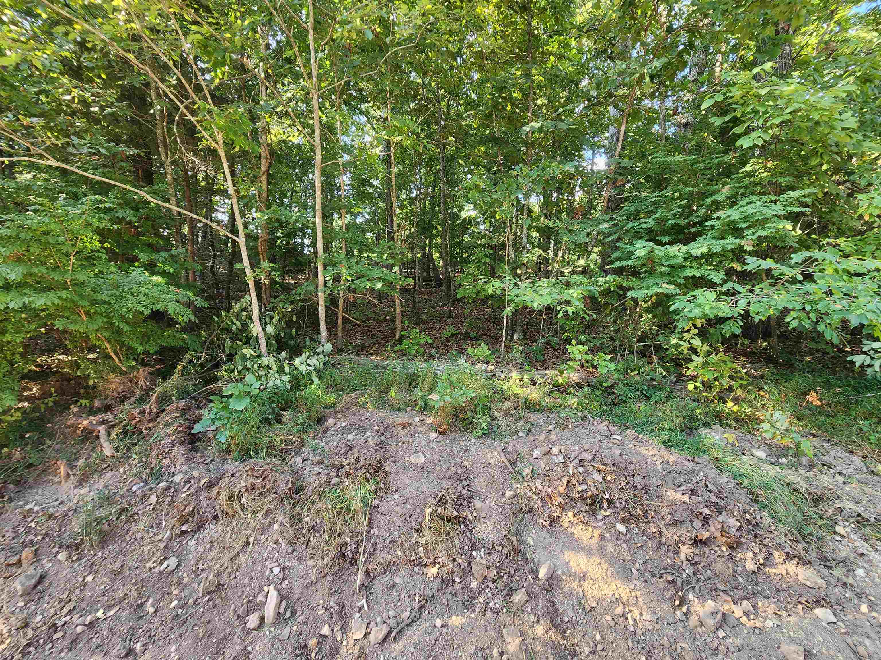   Katsina  Cherokee Village, AR