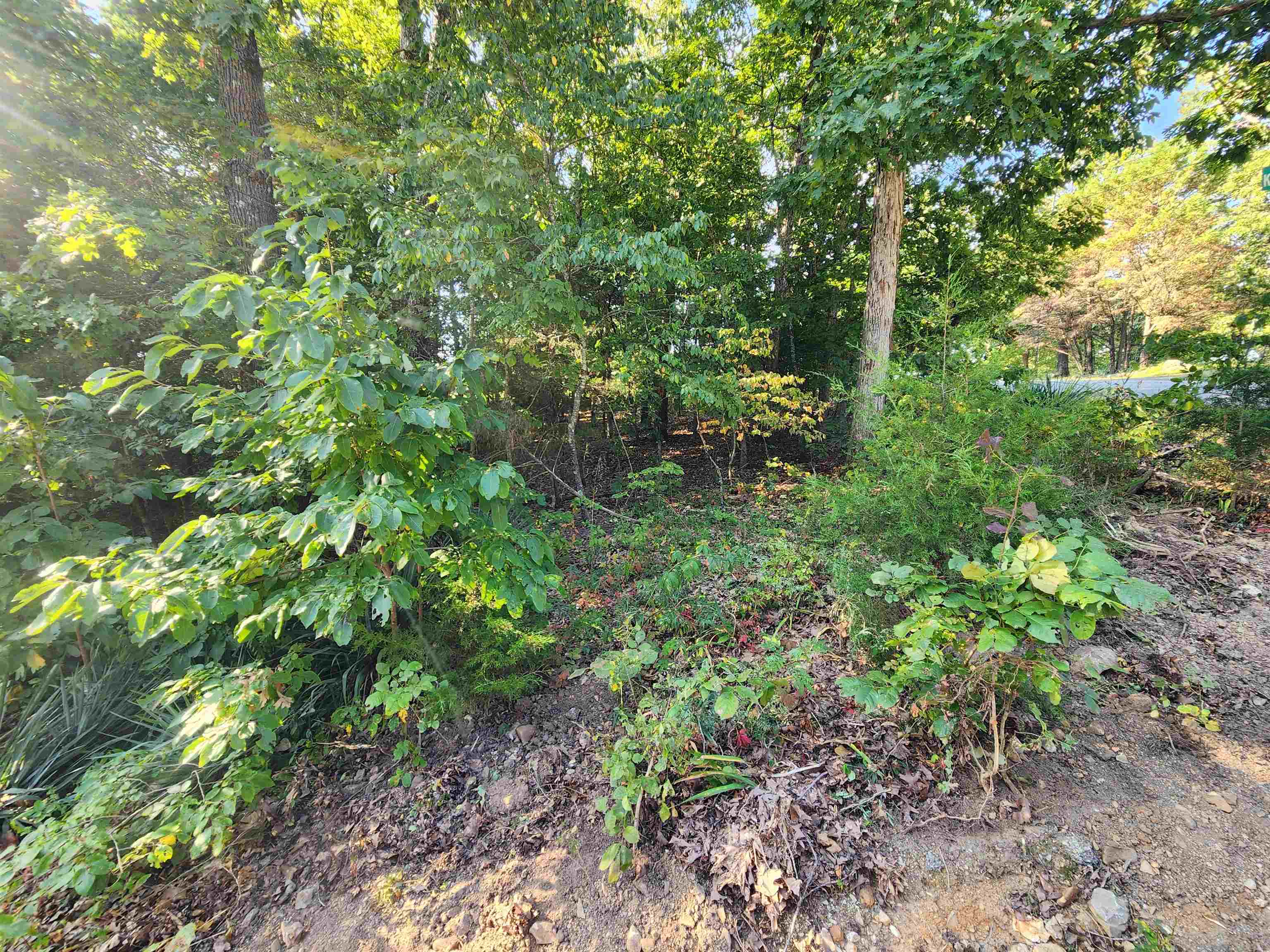   Katsina  Cherokee Village, AR