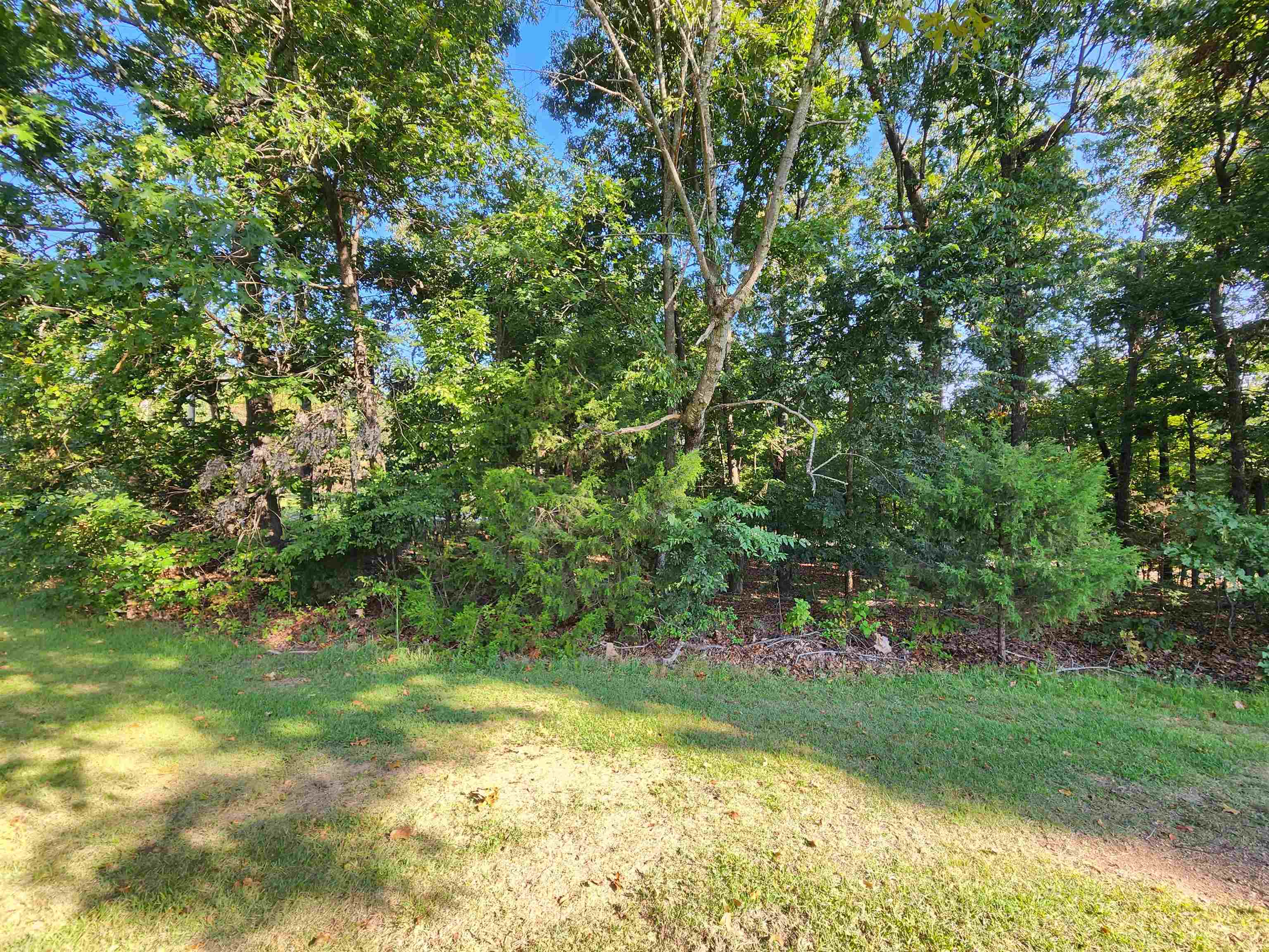   Katsina  Cherokee Village, AR