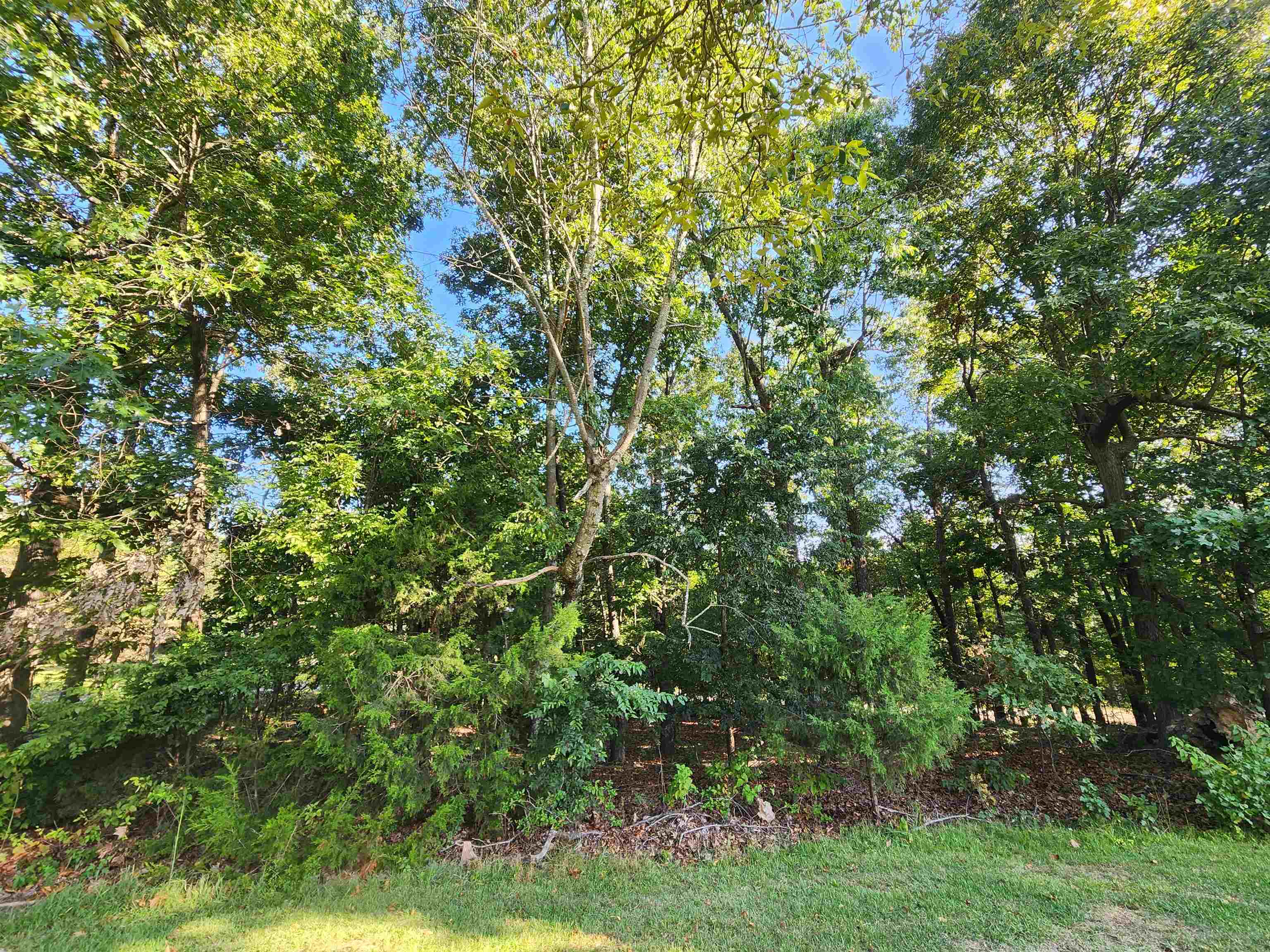   Katsina  Cherokee Village, AR