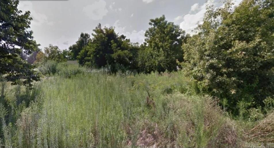 614 S Park  Rector, AR