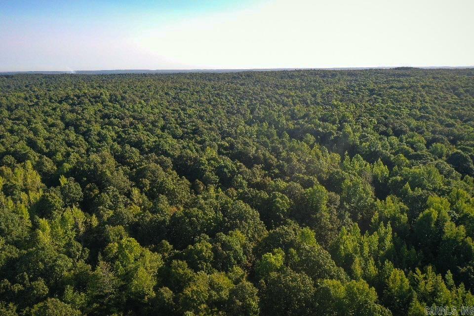   Clay County Rd. 408  Rector, AR