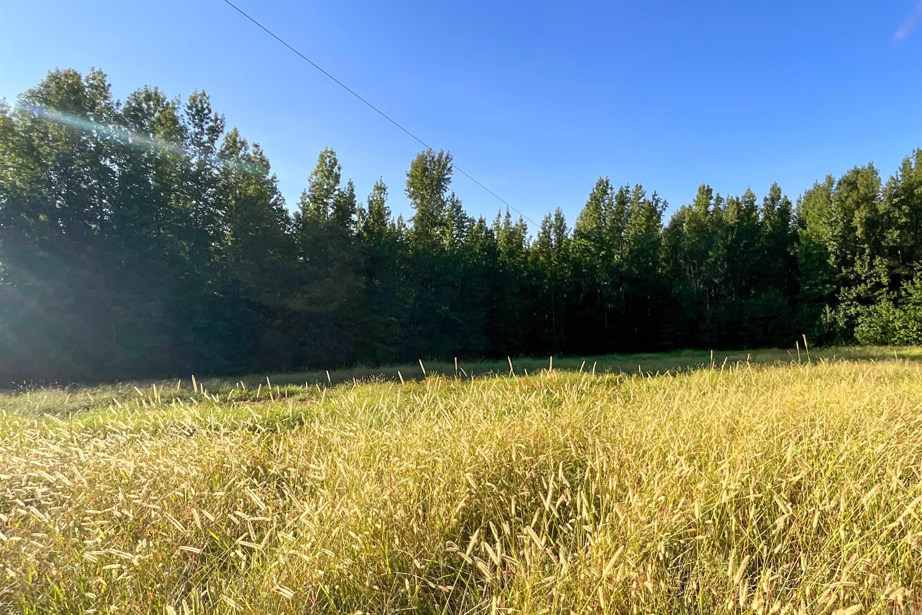   Clay County Rd. 408  Rector, AR