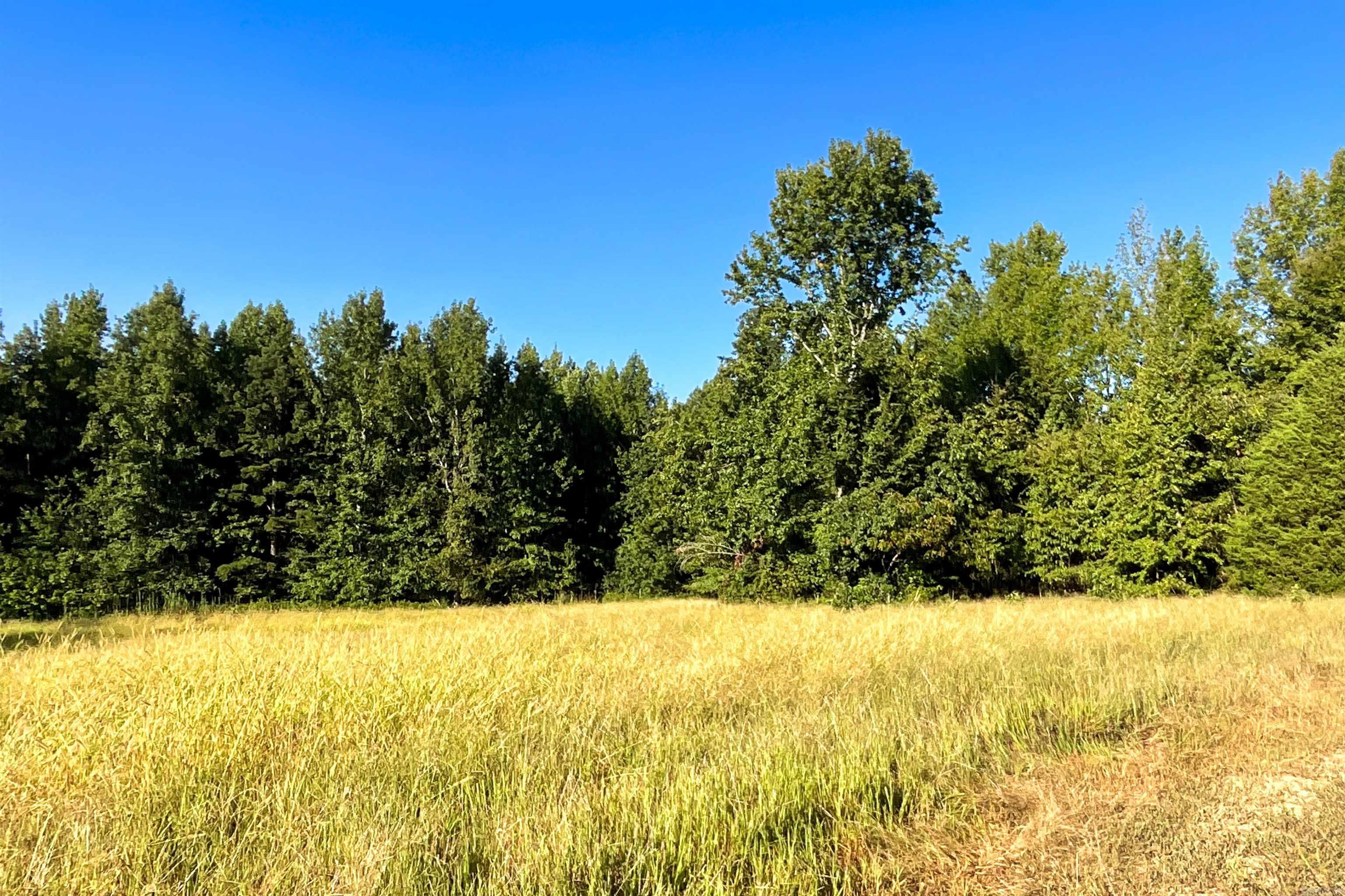   Clay County Rd. 408  Rector, AR