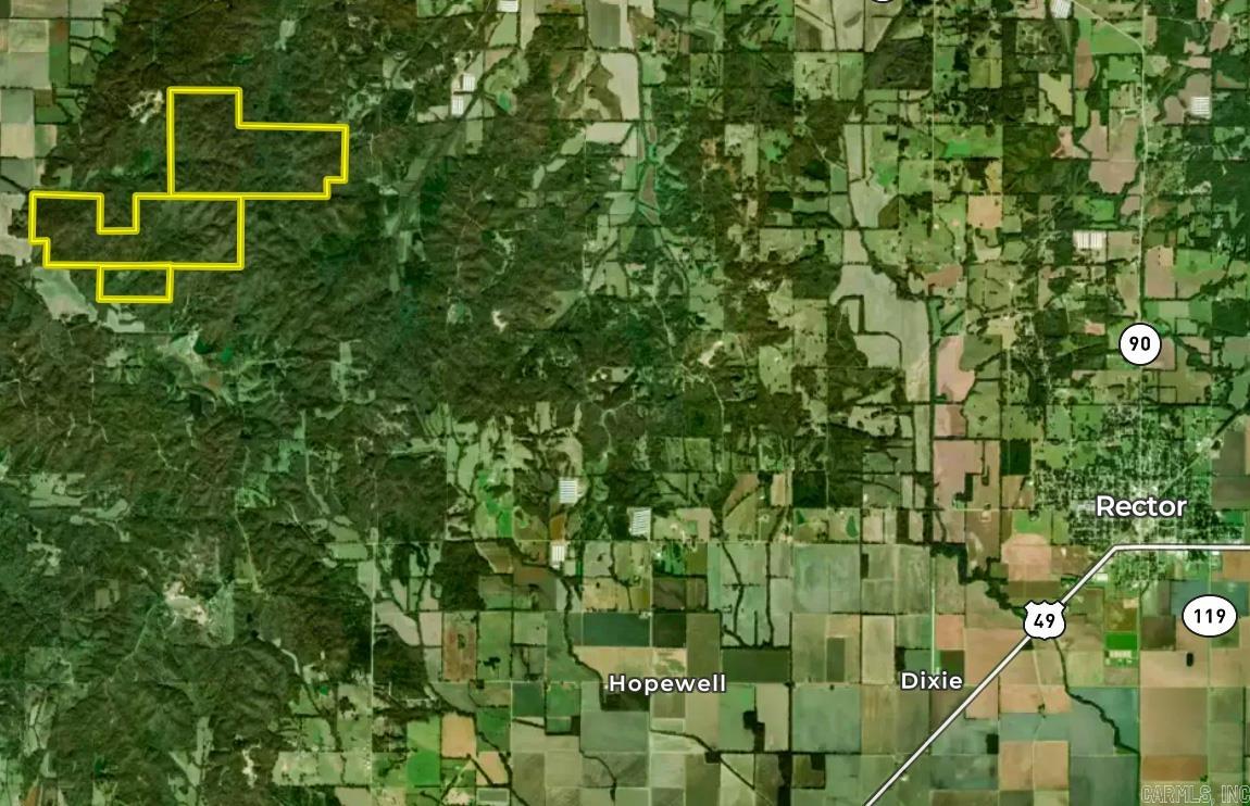   Clay County Rd. 408  Rector, AR