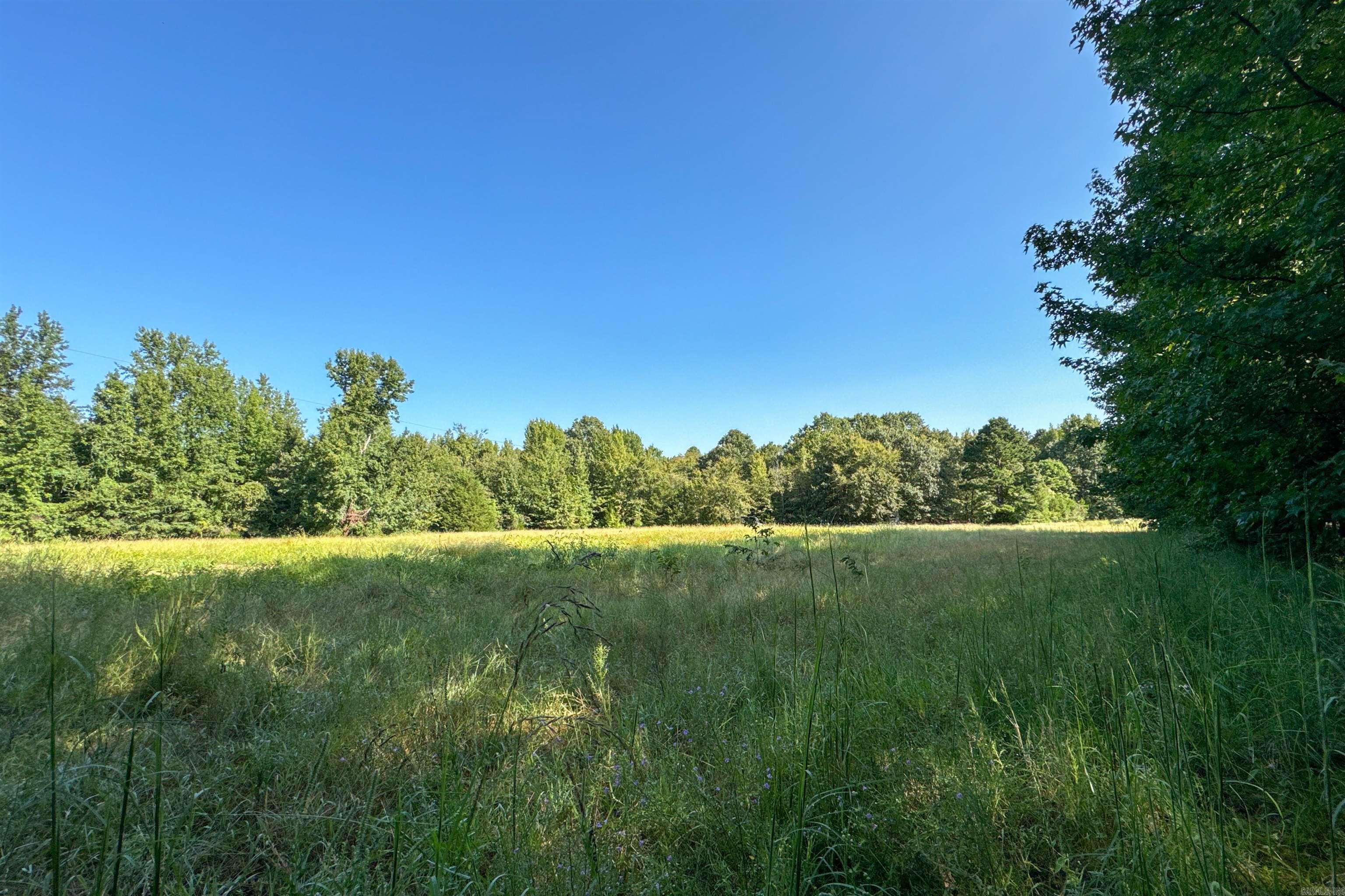   Clay County Rd. 408  Rector, AR