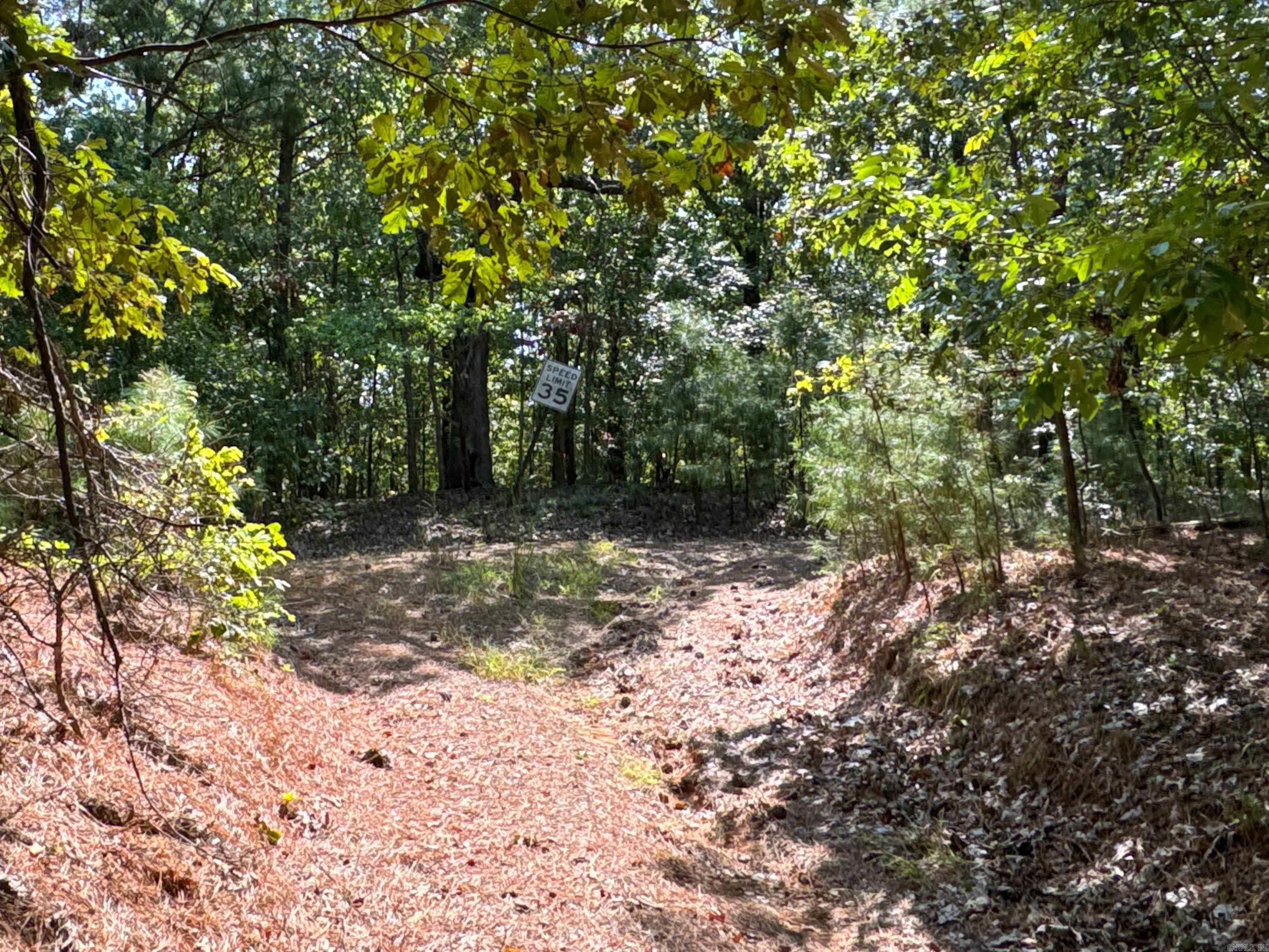   Clay County Rd. 408  Rector, AR