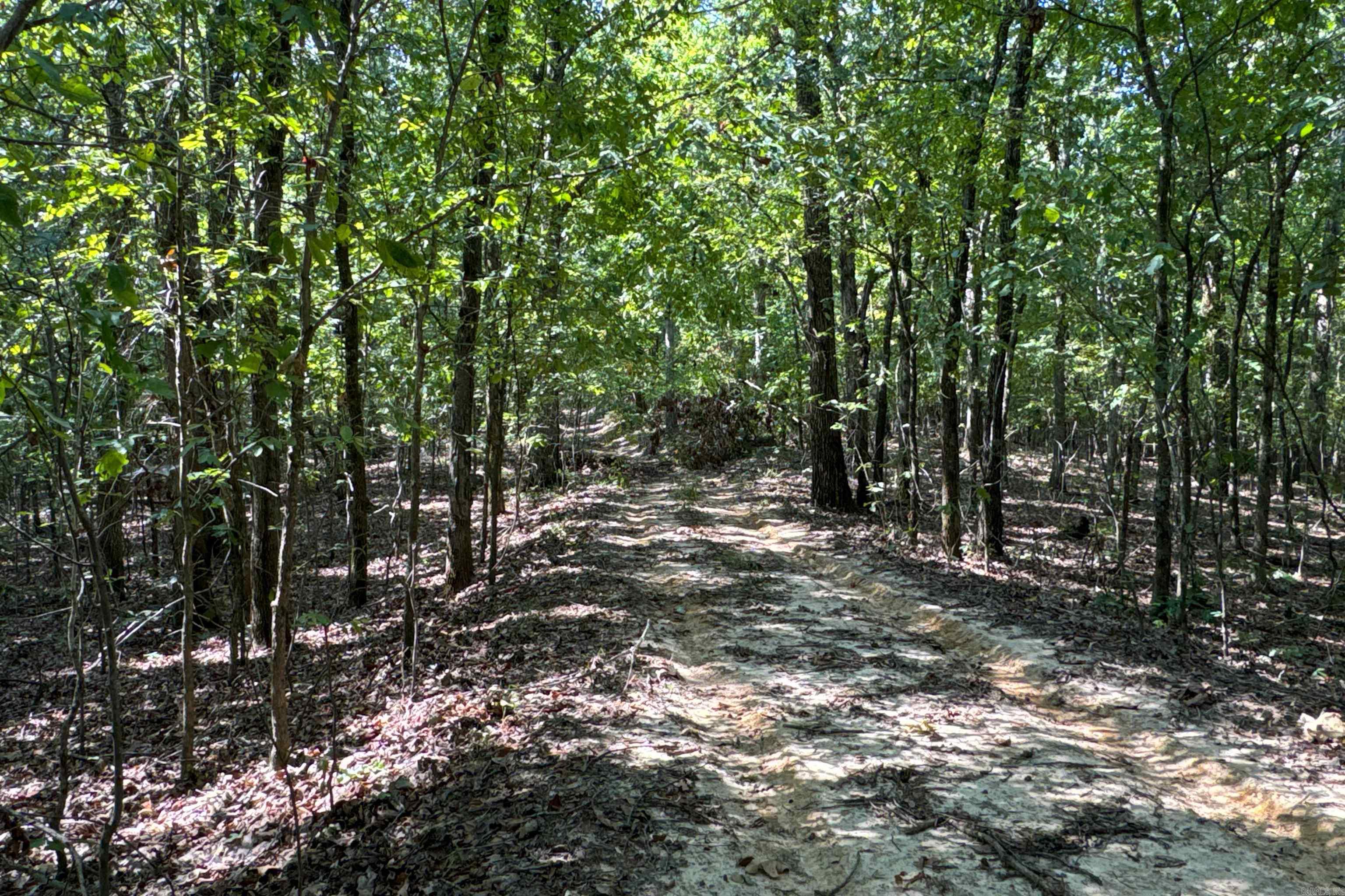   Clay County Rd. 408  Rector, AR