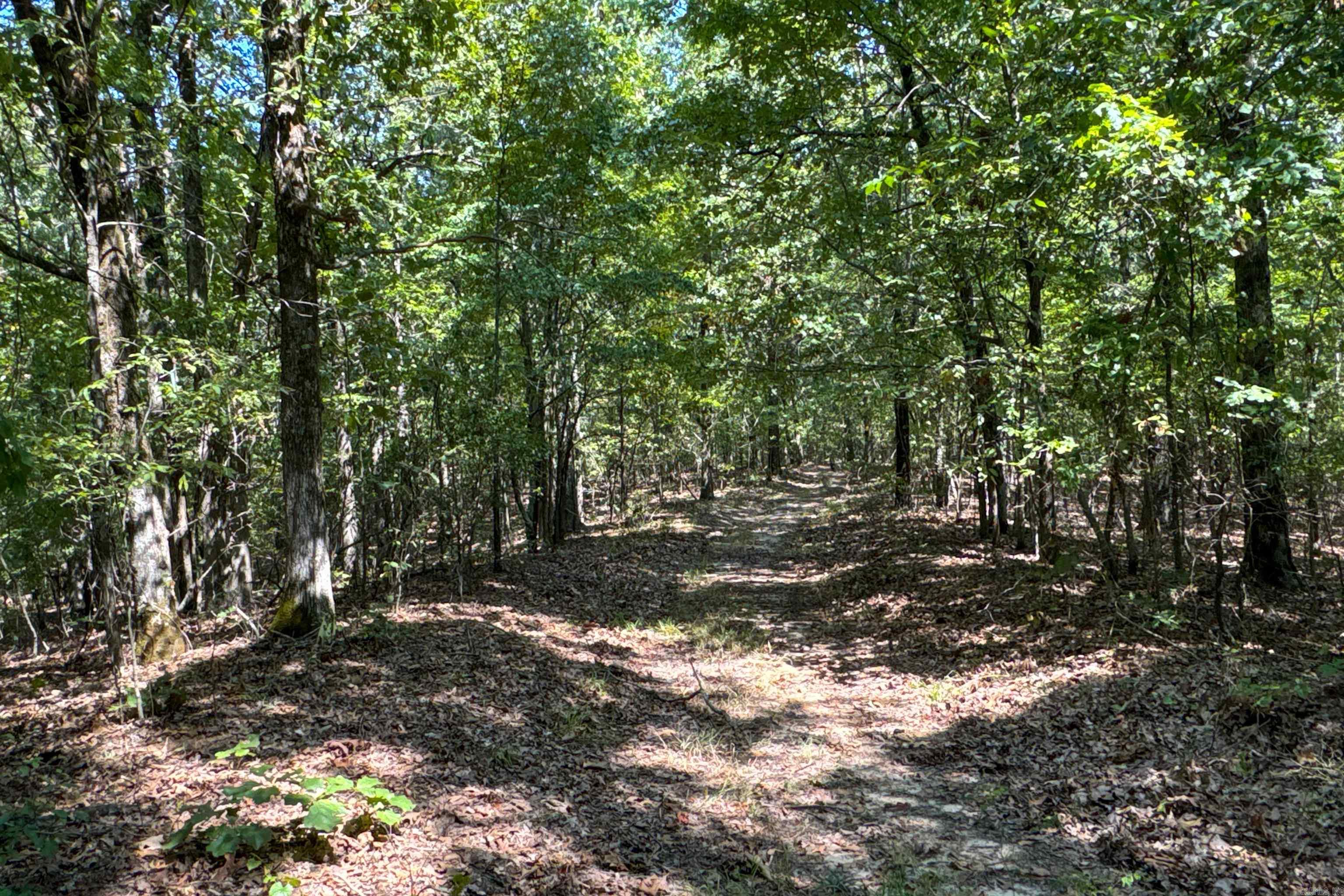   Clay County Rd. 408  Rector, AR