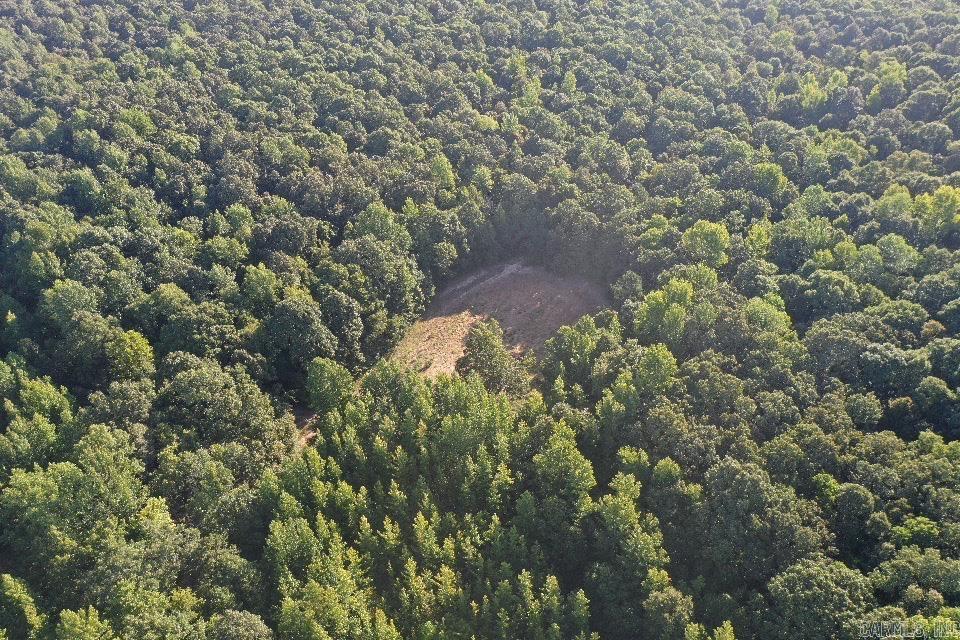   Clay County Rd. 408  Rector, AR