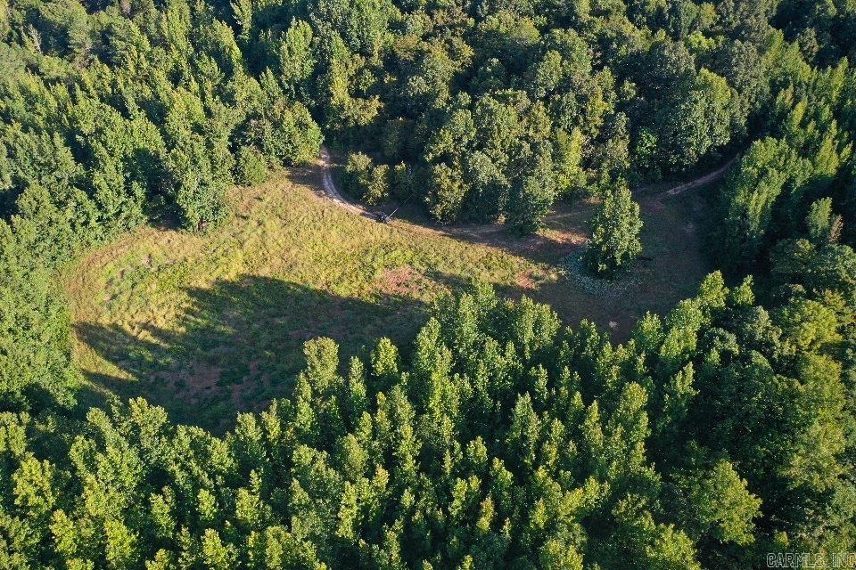   Clay County Rd. 408  Rector, AR