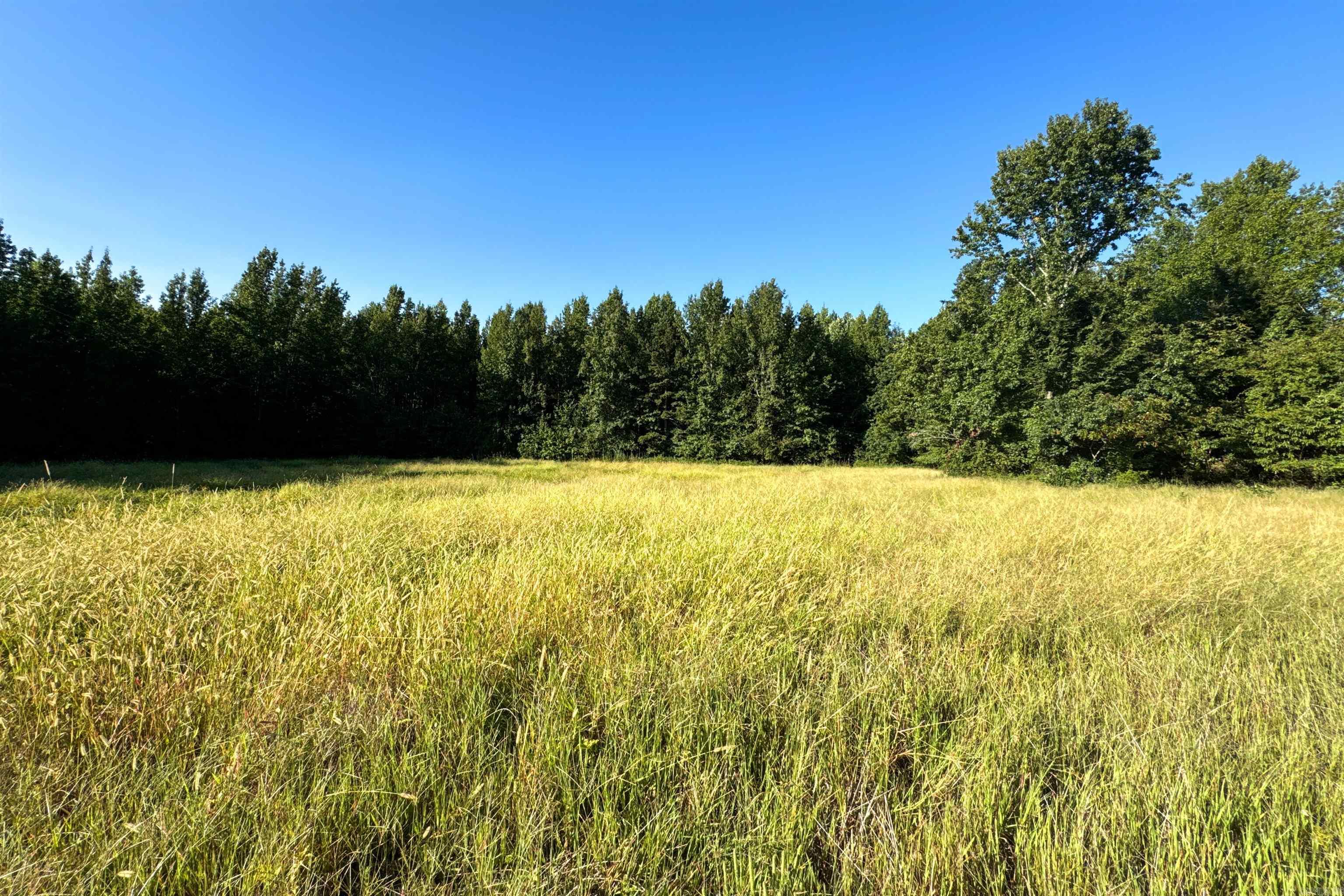   Clay County Rd. 408  Rector, AR