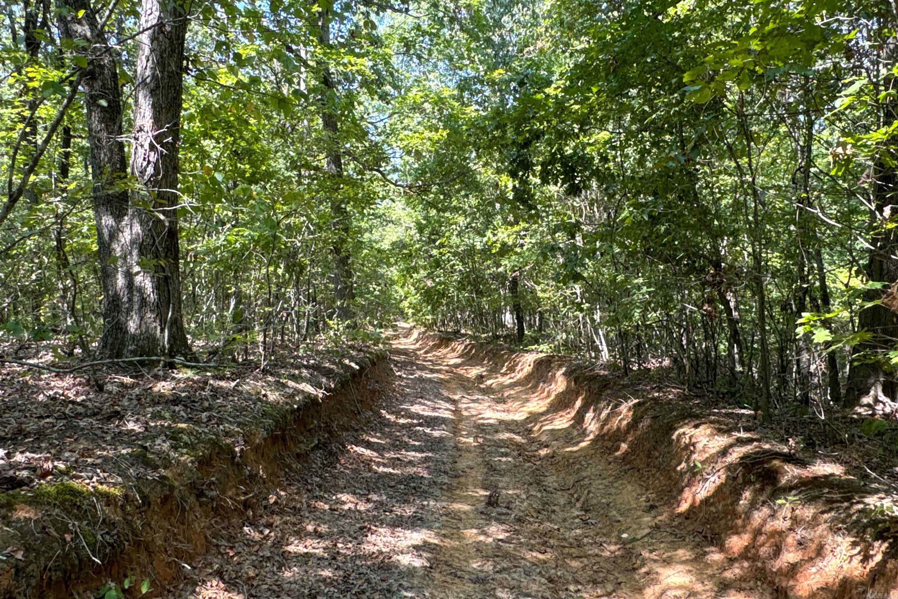   Clay County Rd. 408  Rector, AR