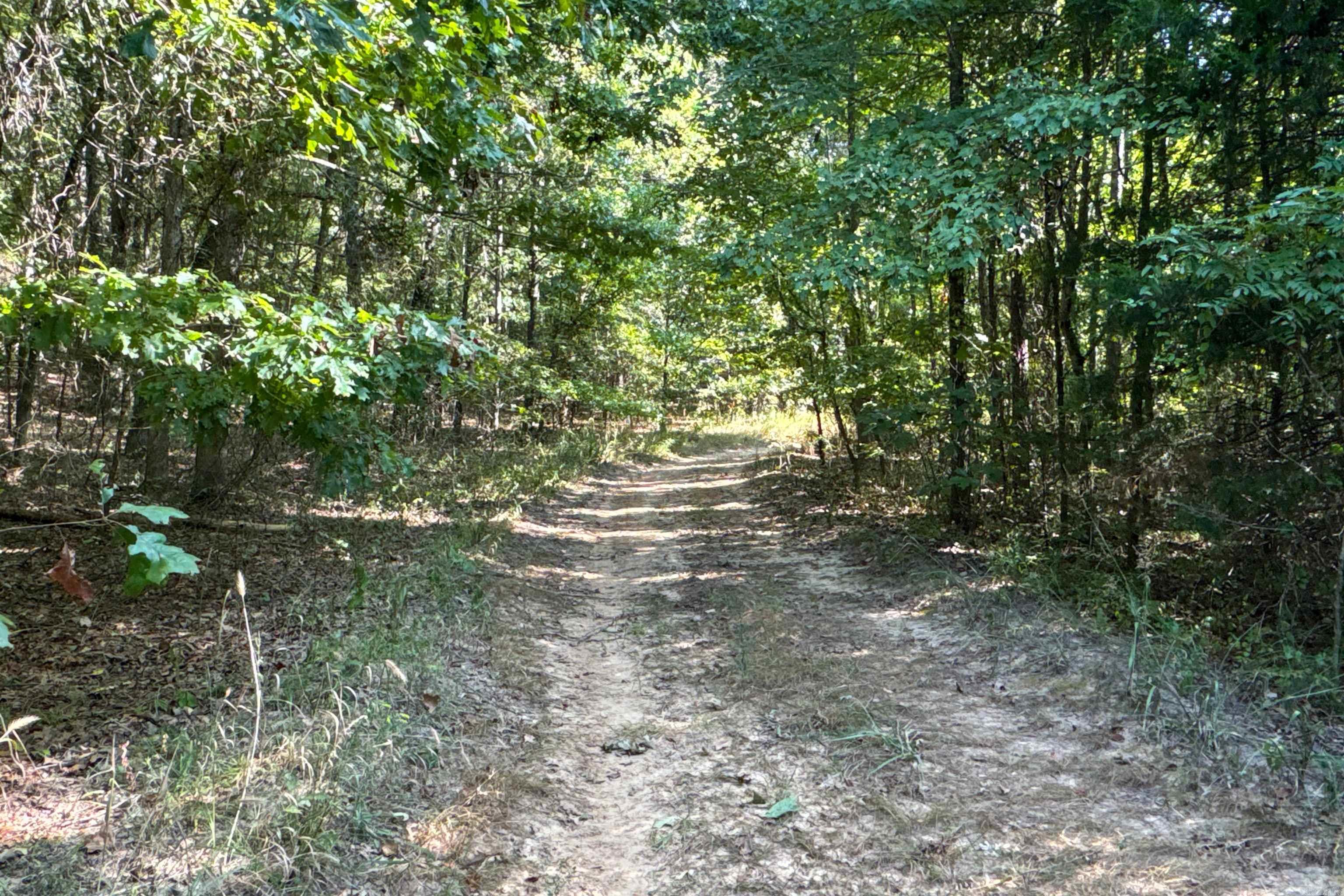   Clay County Rd. 408  Rector, AR