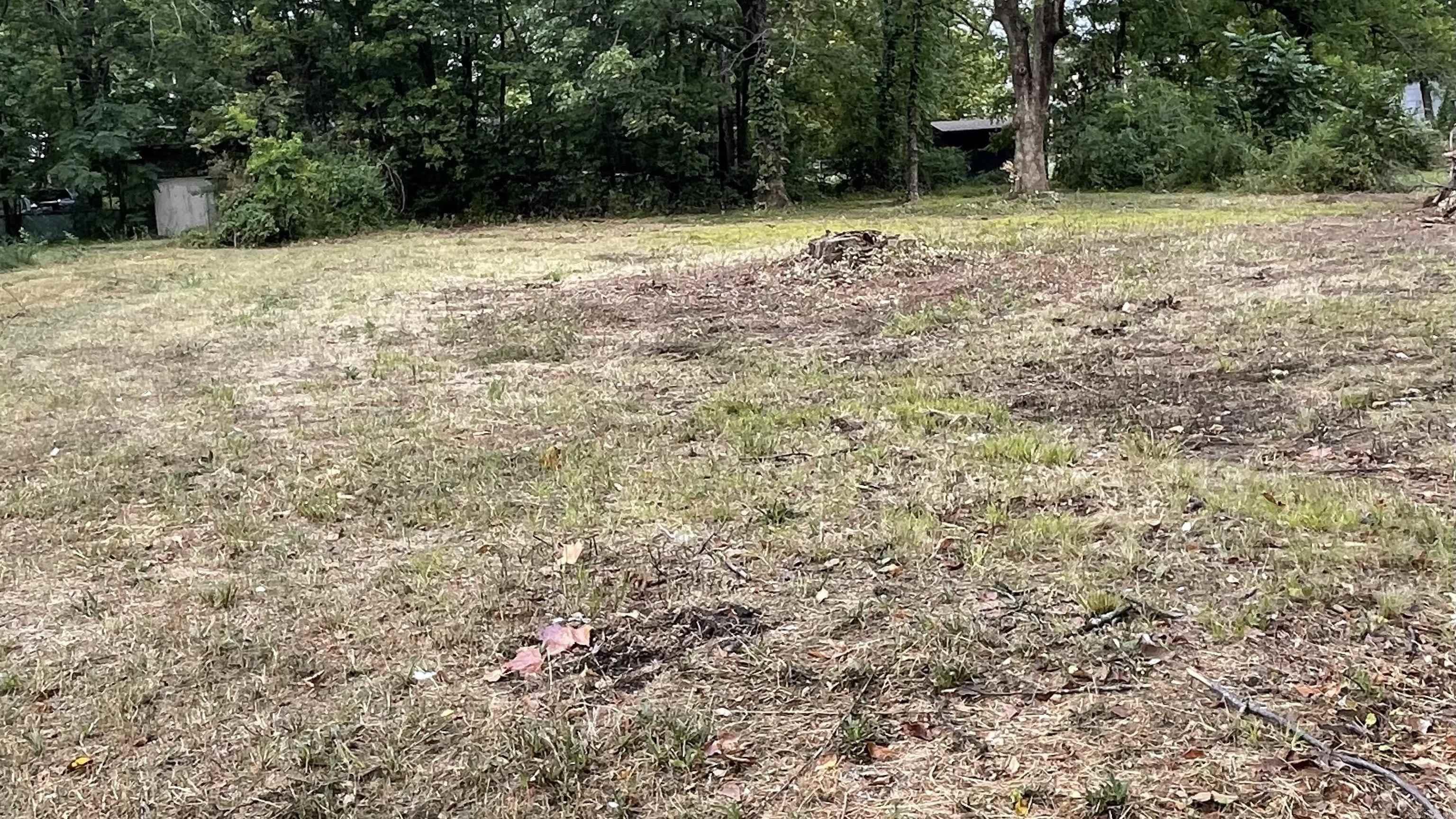 1263  Ingram  Conway, AR