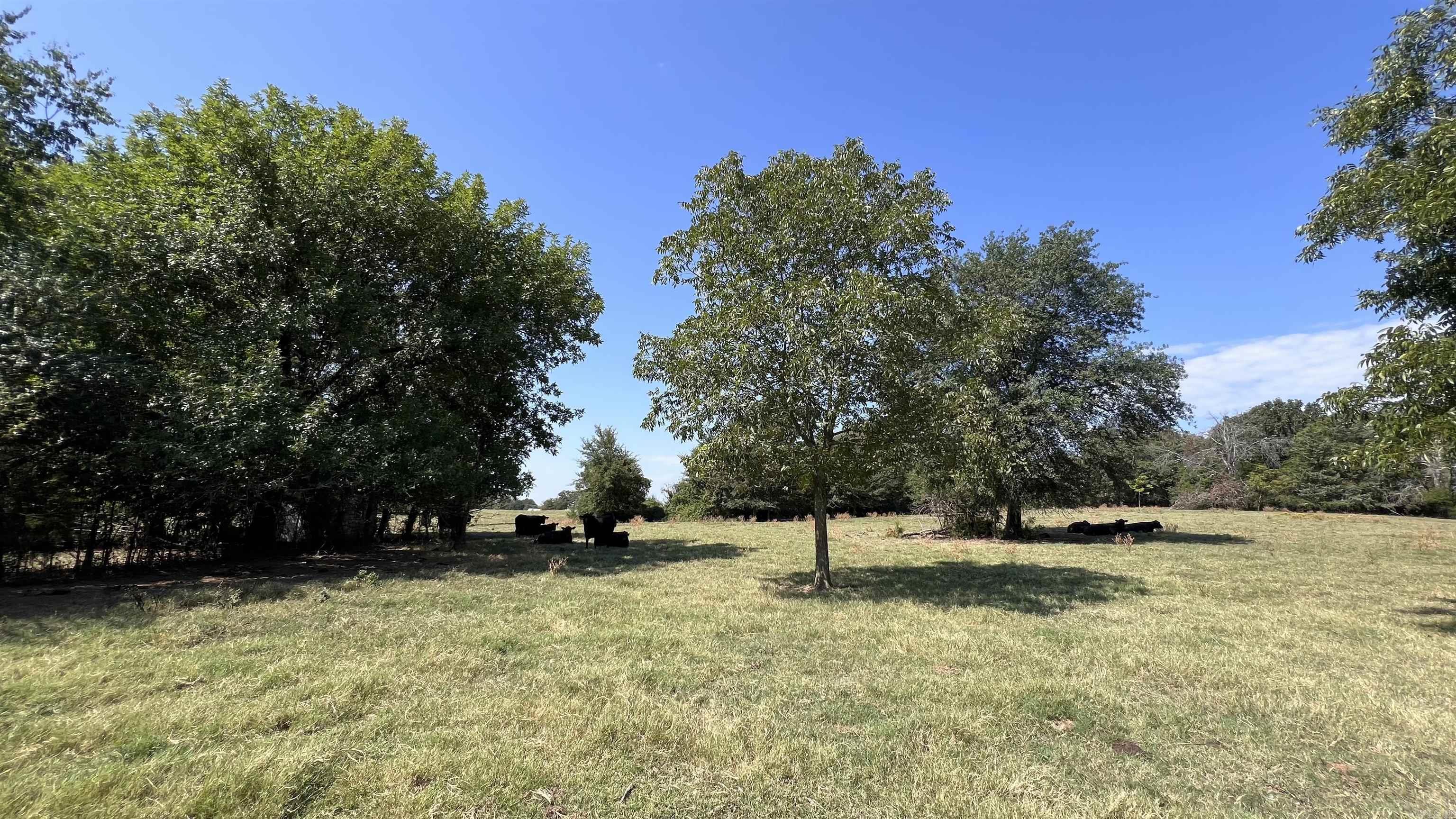 8607  Shaver  Lavaca, AR