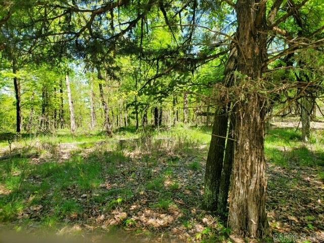 3373  347  Bismarck, AR