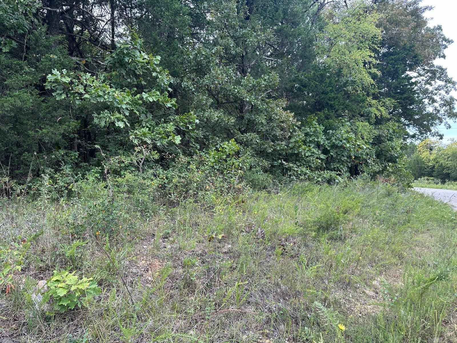 002-06988-001 County Road 137  Henderson, AR