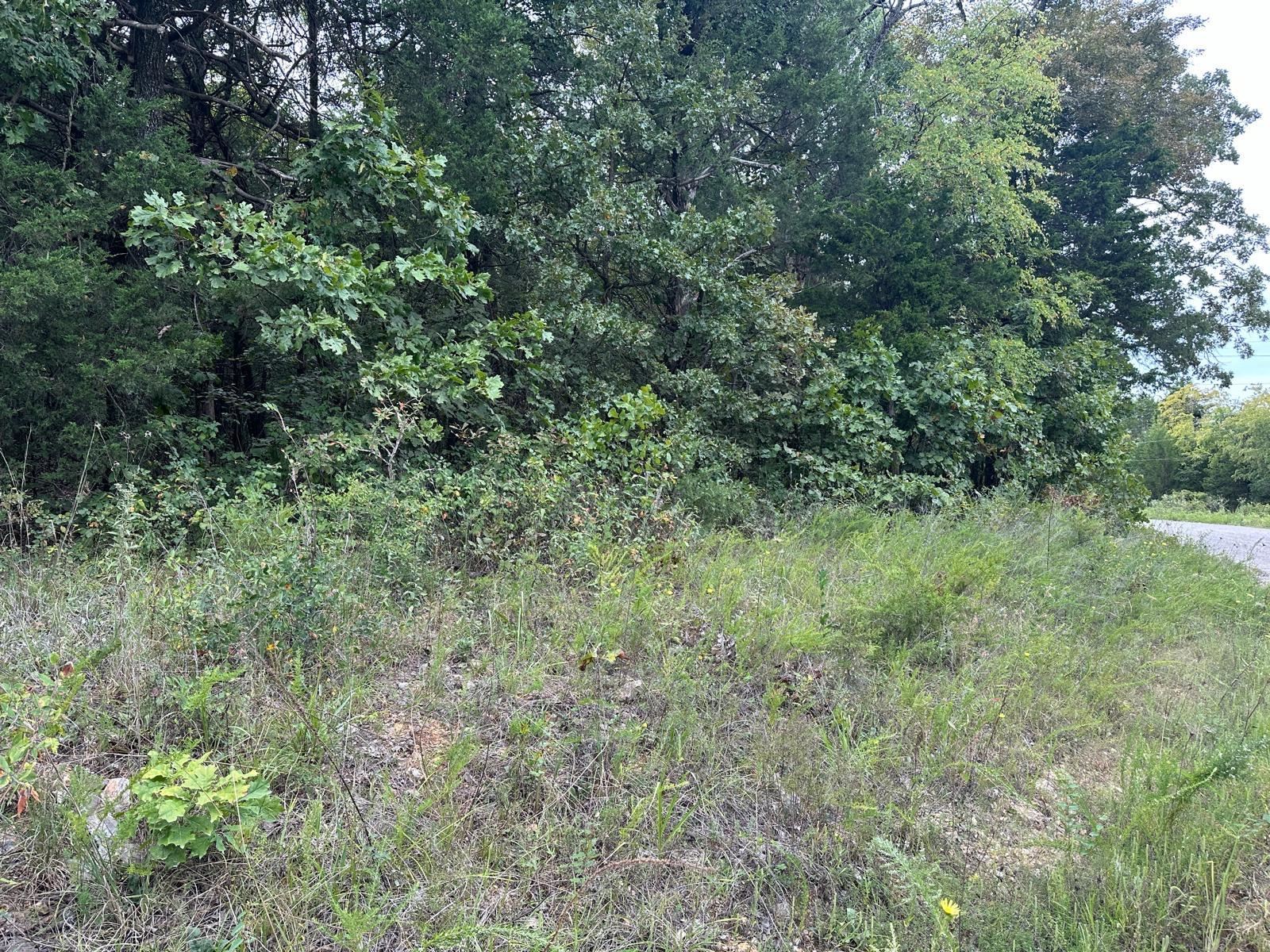 002-06988-001  County Road 137  Henderson, AR