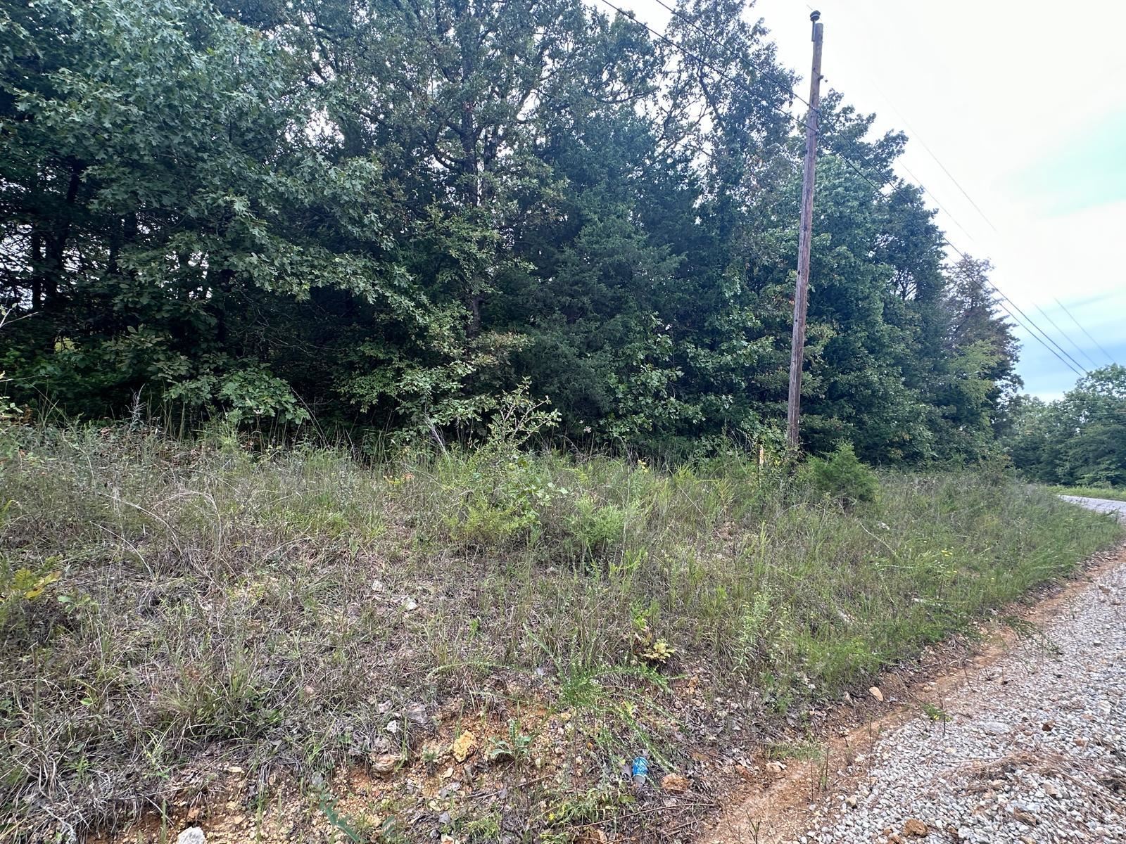 002-06988-001  County Road 137  Henderson, AR