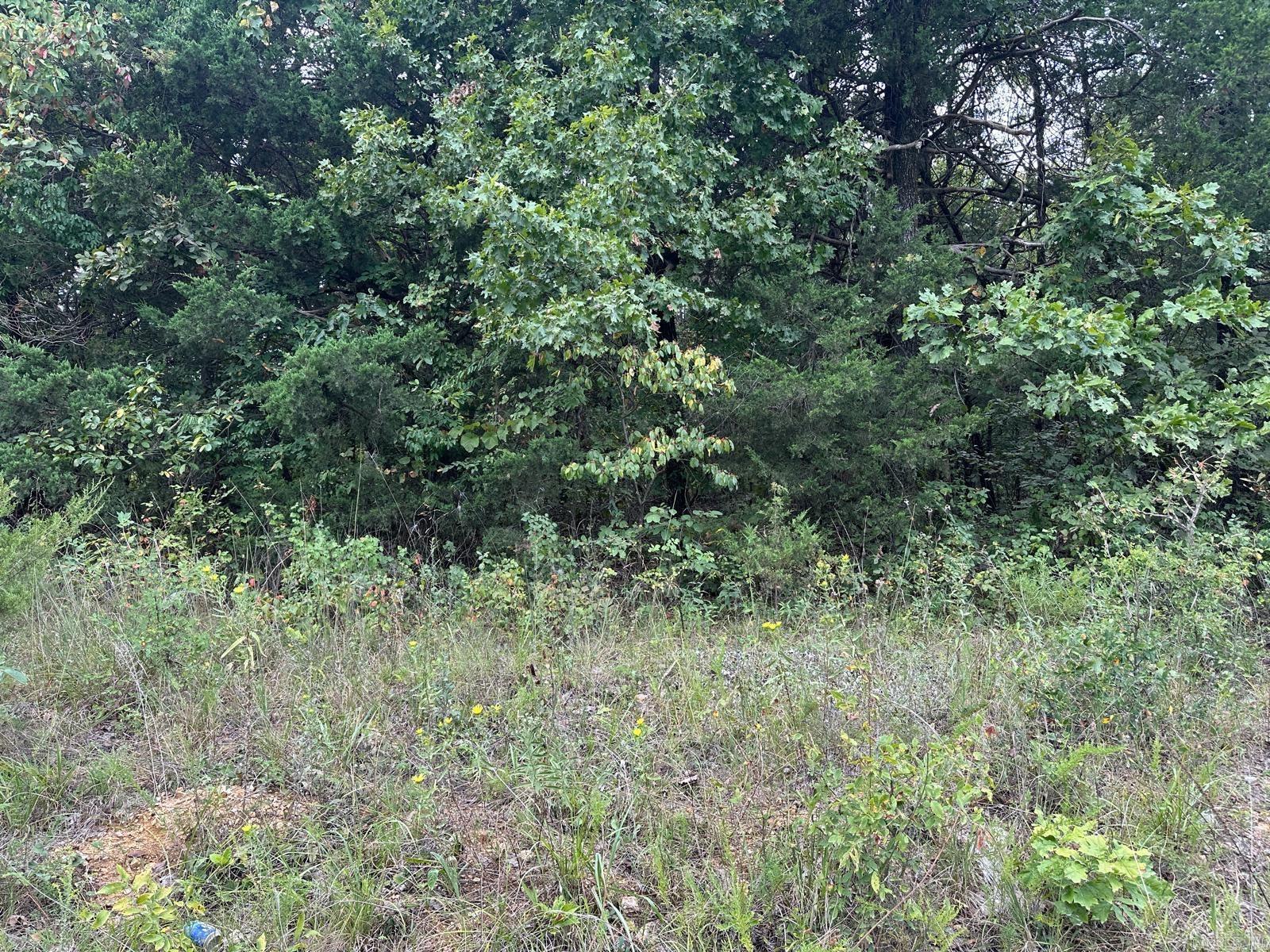 002-06988-001 County Road 137  Henderson, AR