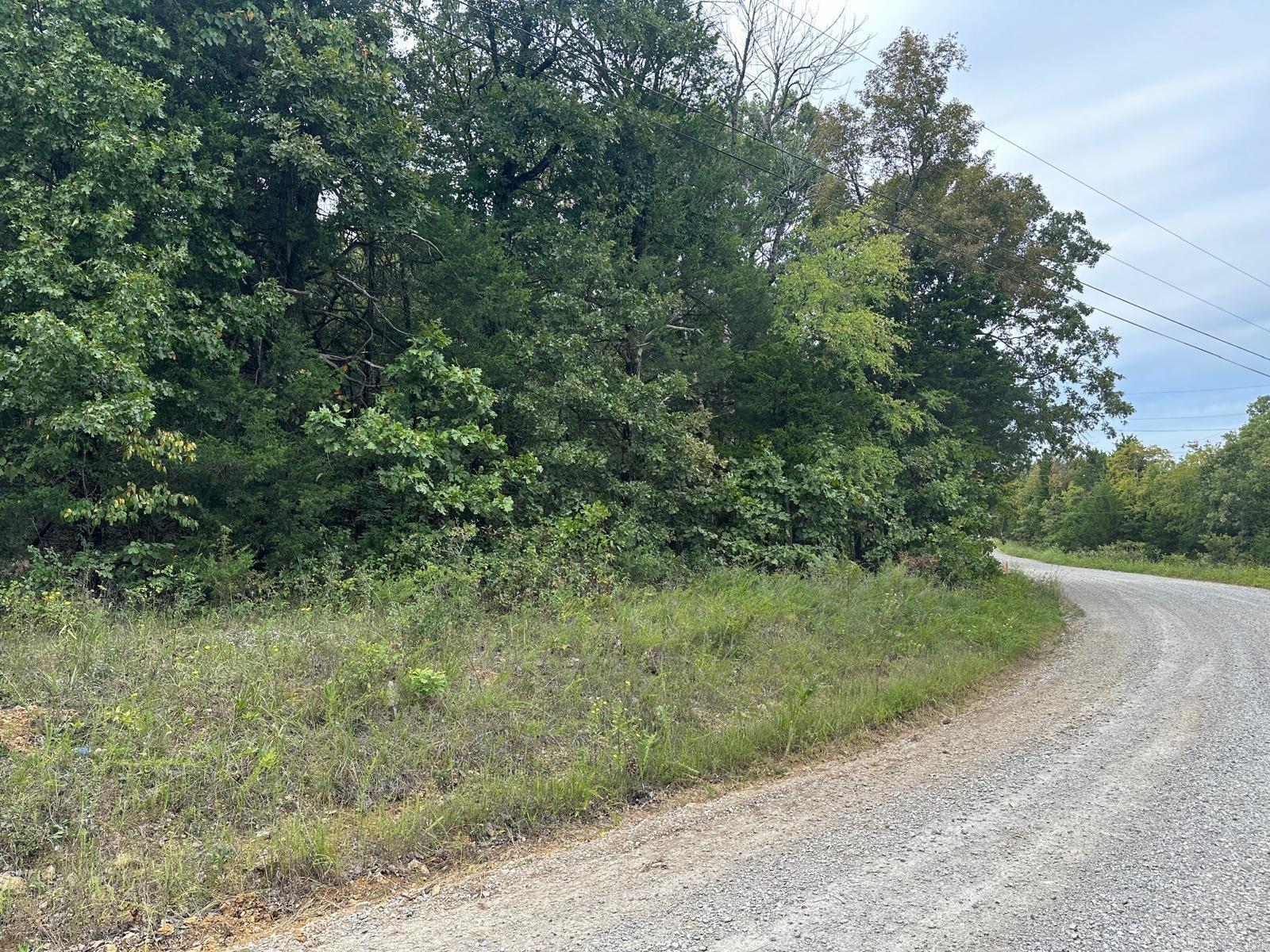 002-06988-001 County Road 137  Henderson, AR