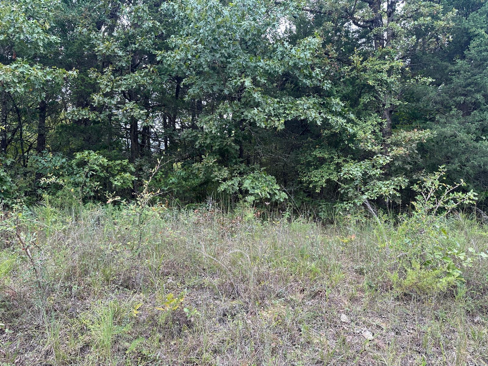 002-06988-001  County Road 137  Henderson, AR