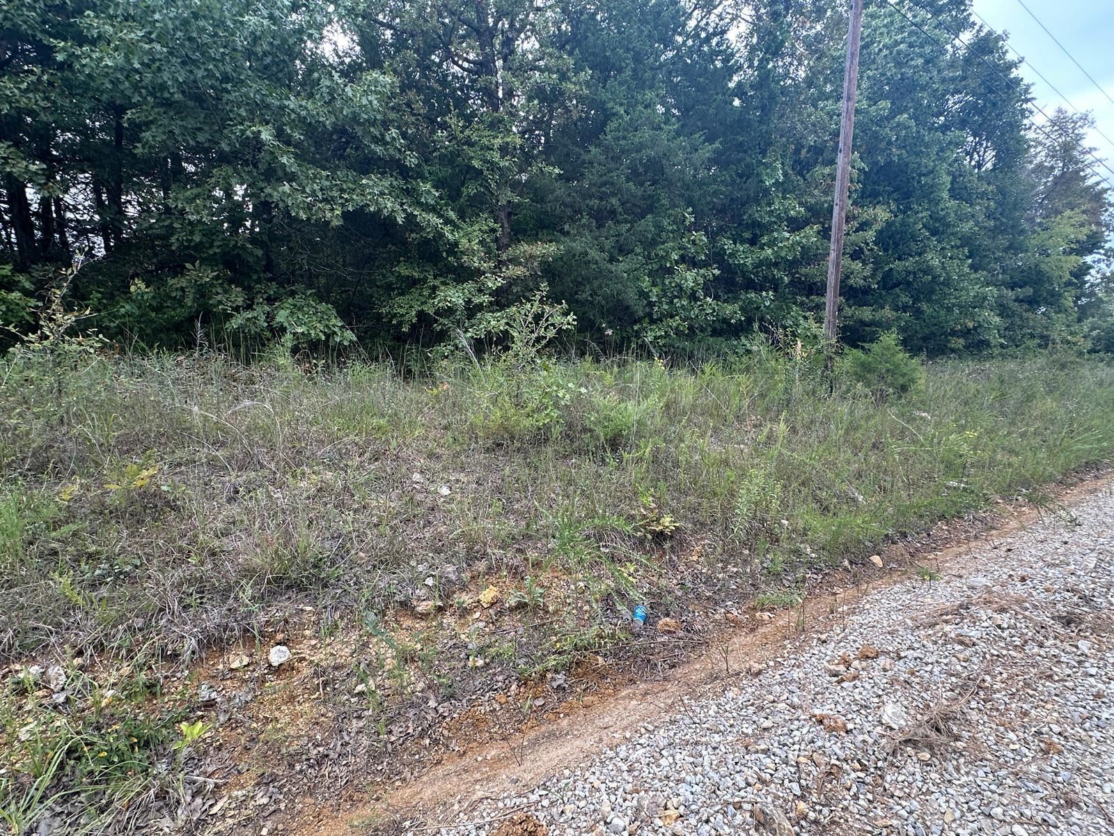 002-06988-001  County Road 137  Henderson, AR