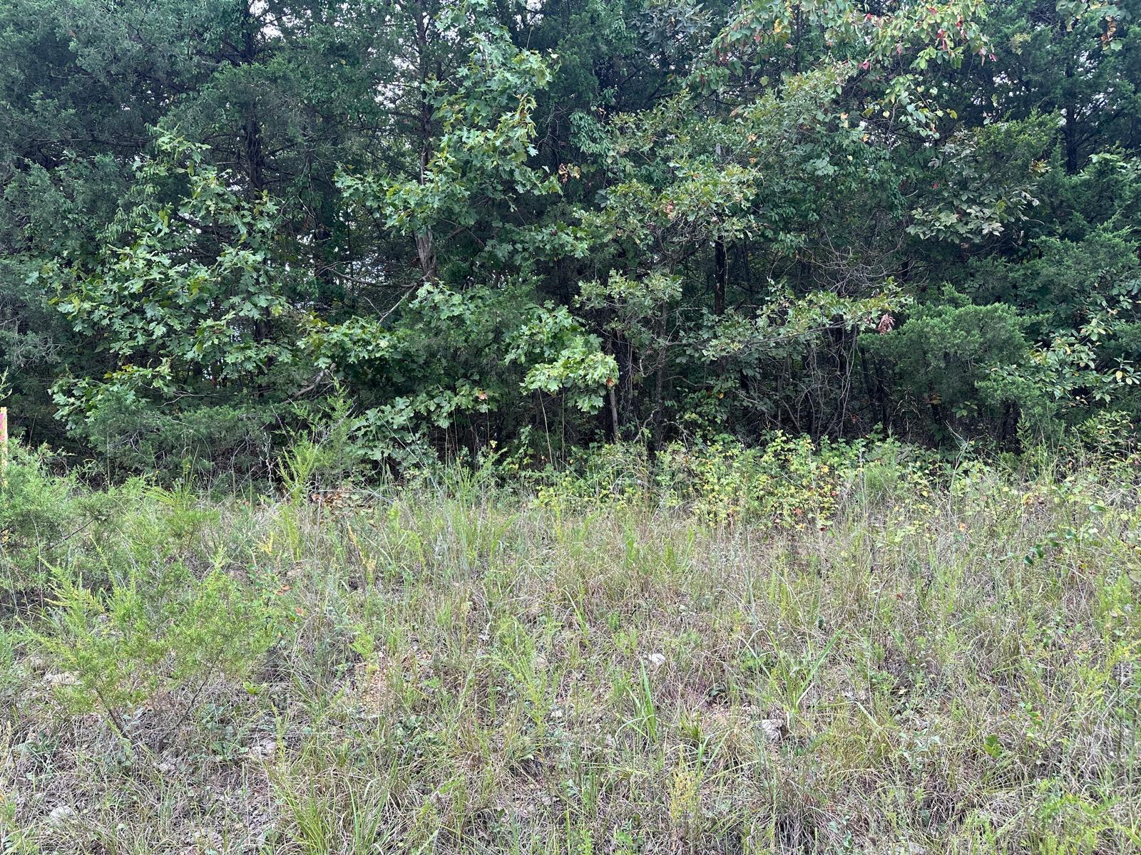 002-06988-001  County Road 137  Henderson, AR