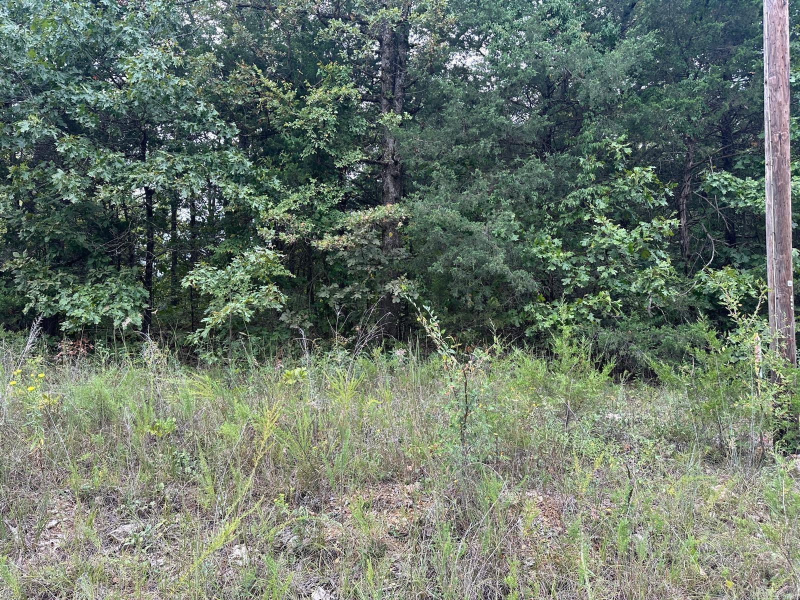 002-06988-001 County Road 137  Henderson, AR