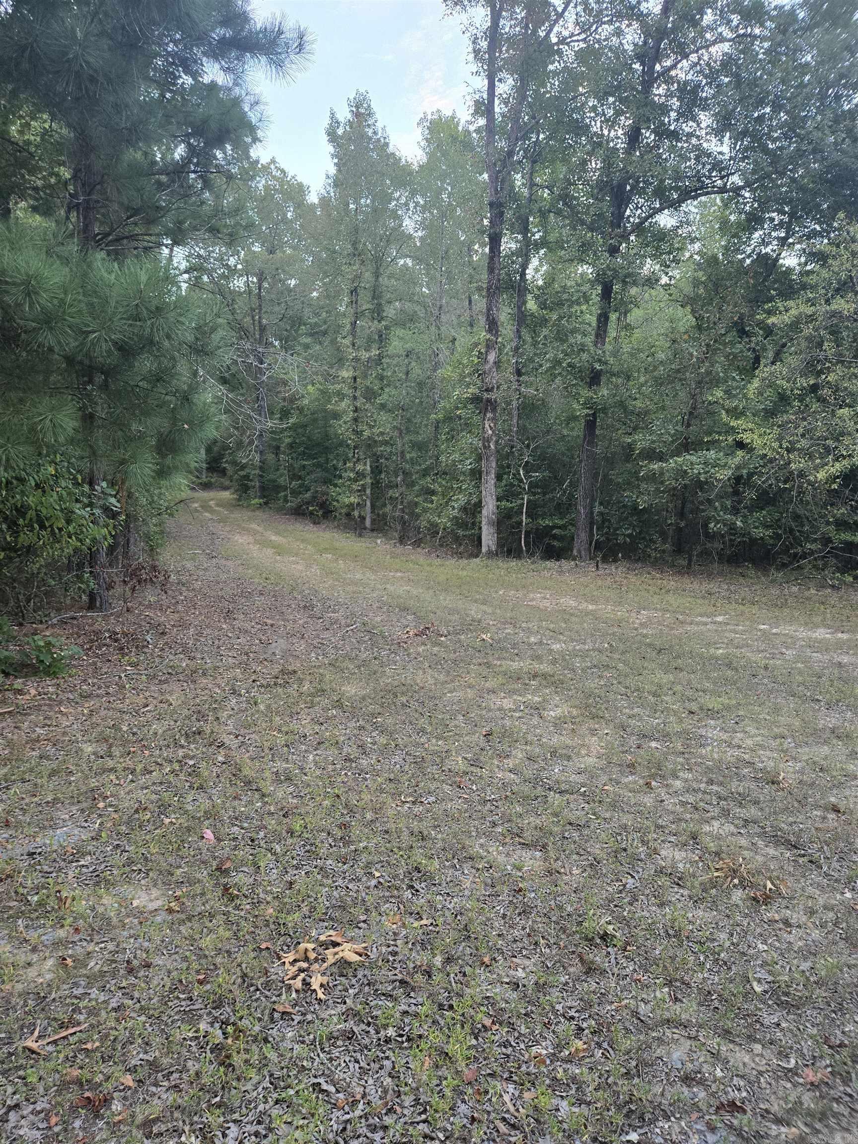 5311  LAMBERT  Bauxite, AR