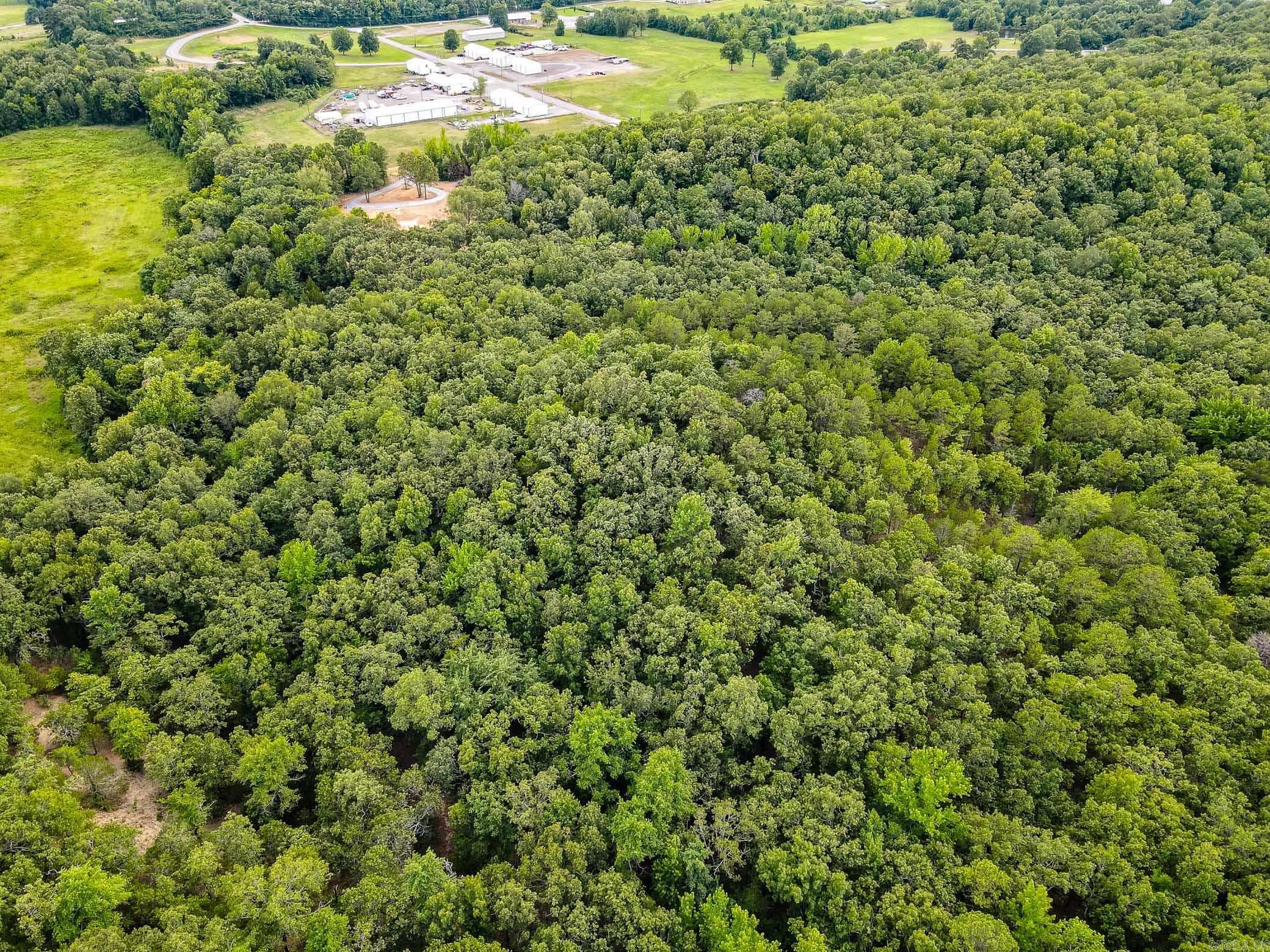 58  Phillip  Greenbrier, AR