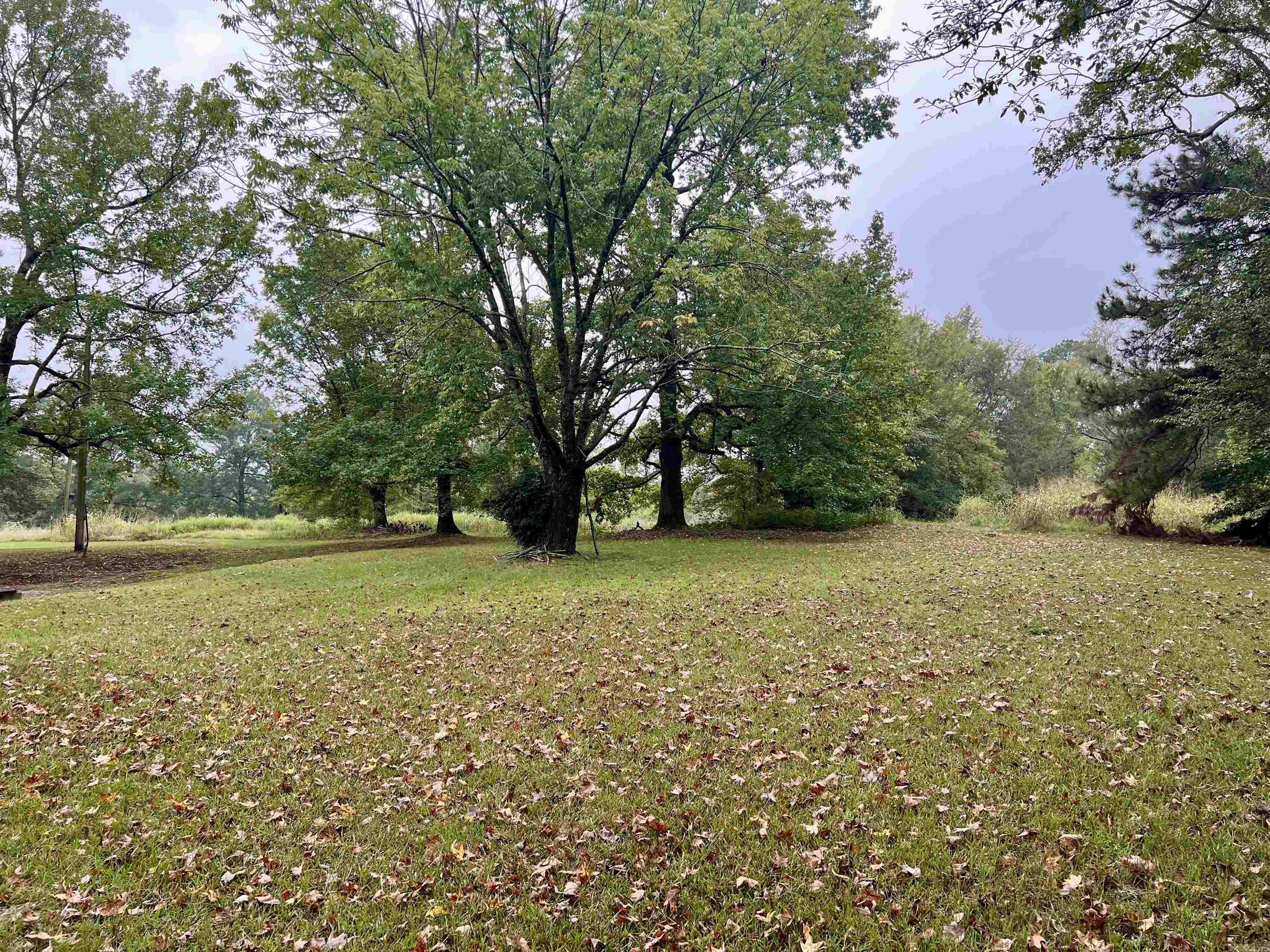 1457 Mt View Road Glenwood, AR 71943