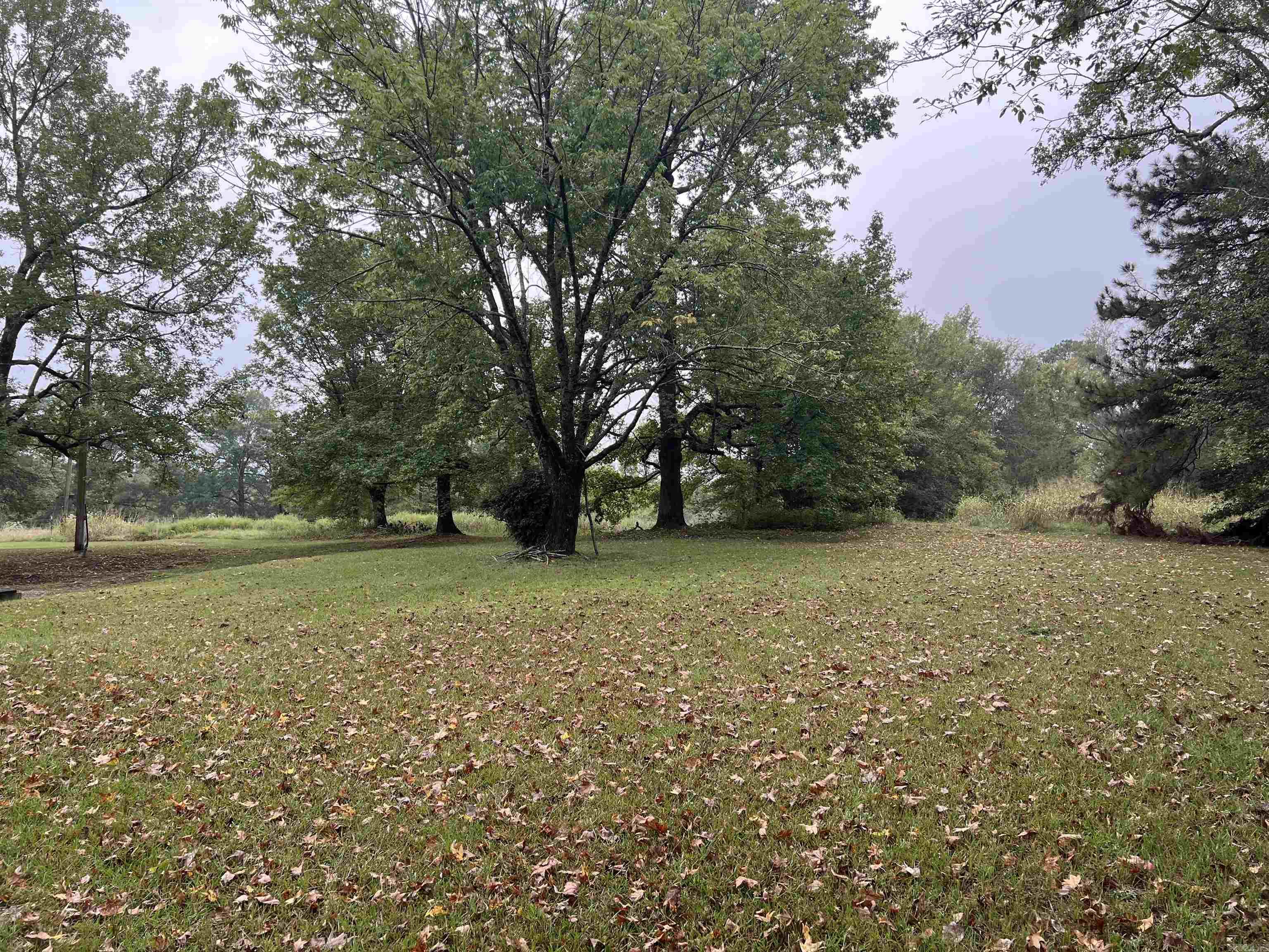 1457  Mt View Road  Glenwood, AR