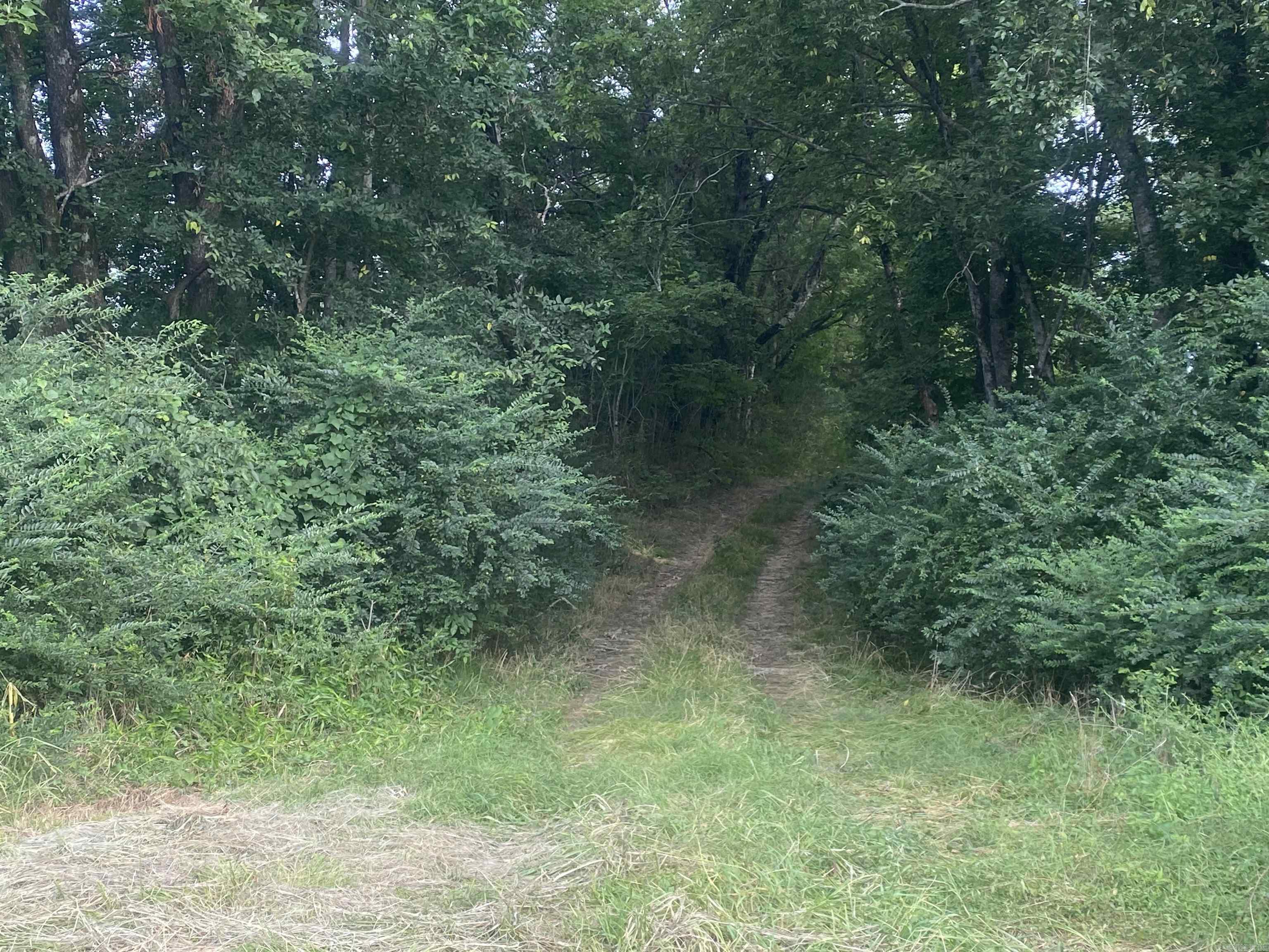 Lot 9 Southfork  Hwy 27 North Southfork Story, AR