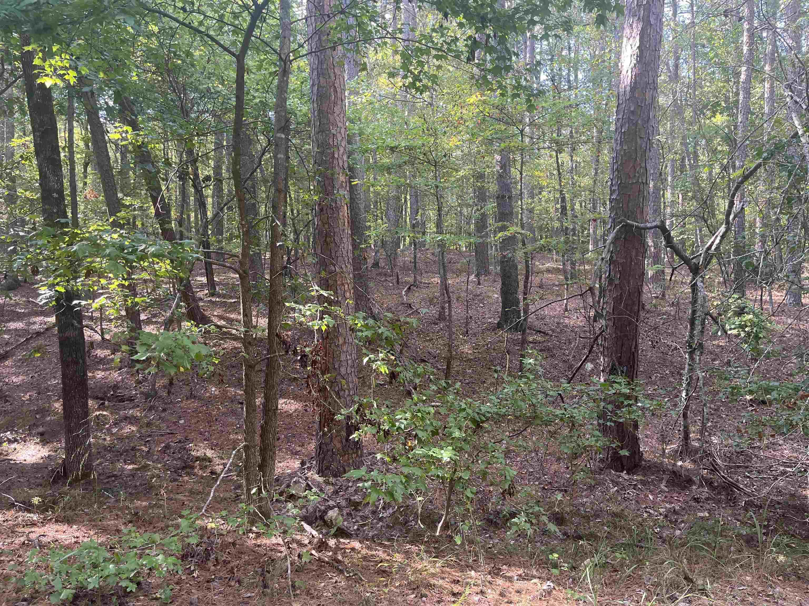 LOT 7 BLK 4  Doscientos  Hot Springs Village, AR