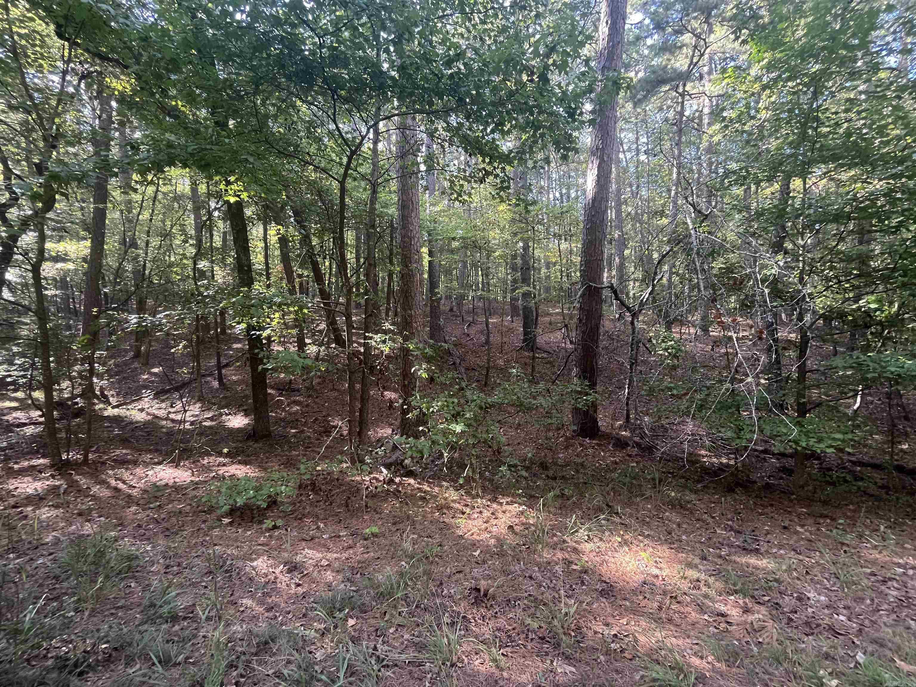 LOT 7 BLK 4  Doscientos  Hot Springs Village, AR