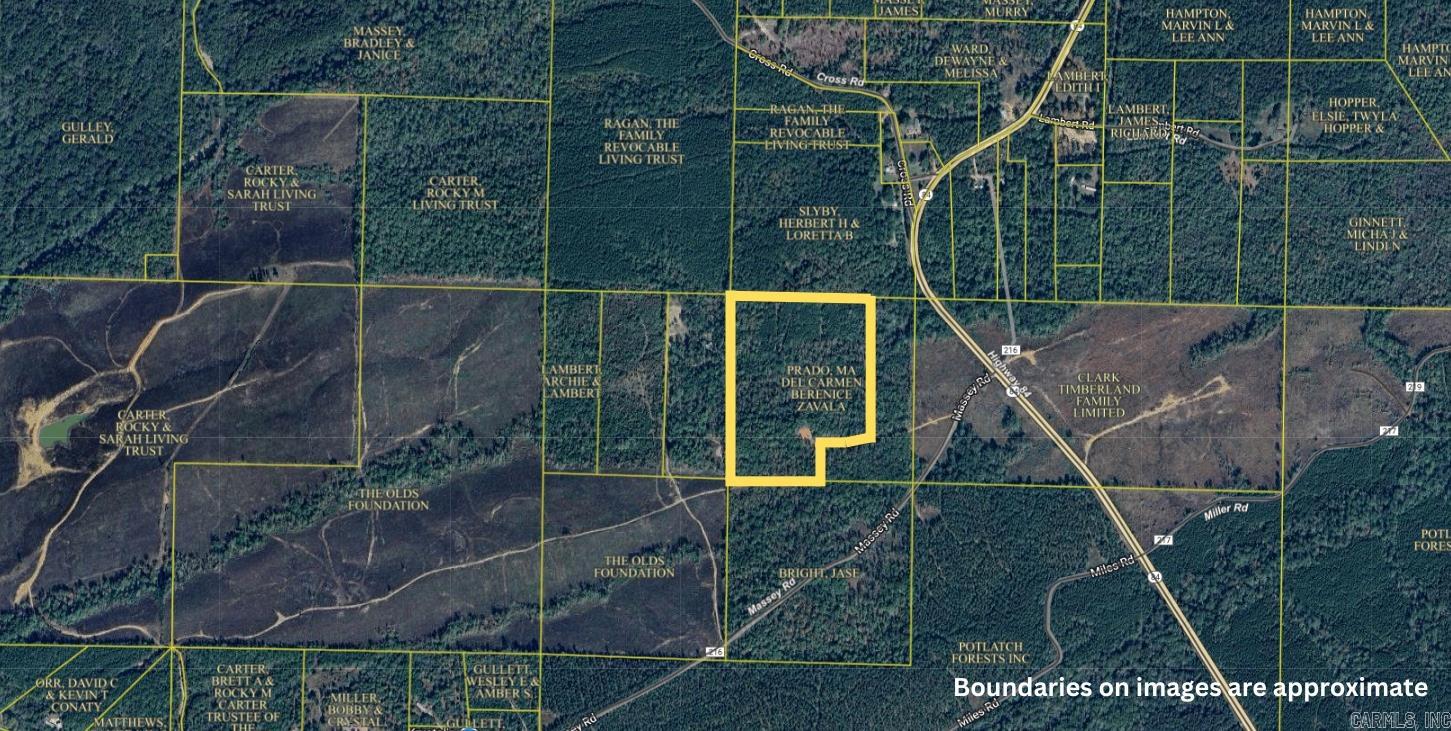 84  Massey  Amity, AR