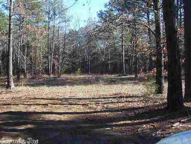00 ACHY BREAKY Lane Greers Ferry, AR 72067