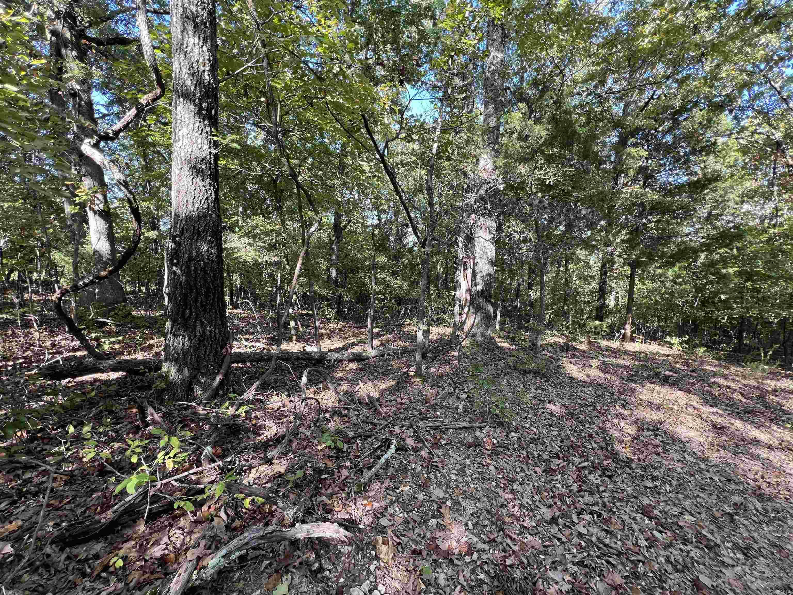 654  Warrior Drive  Harriet, AR