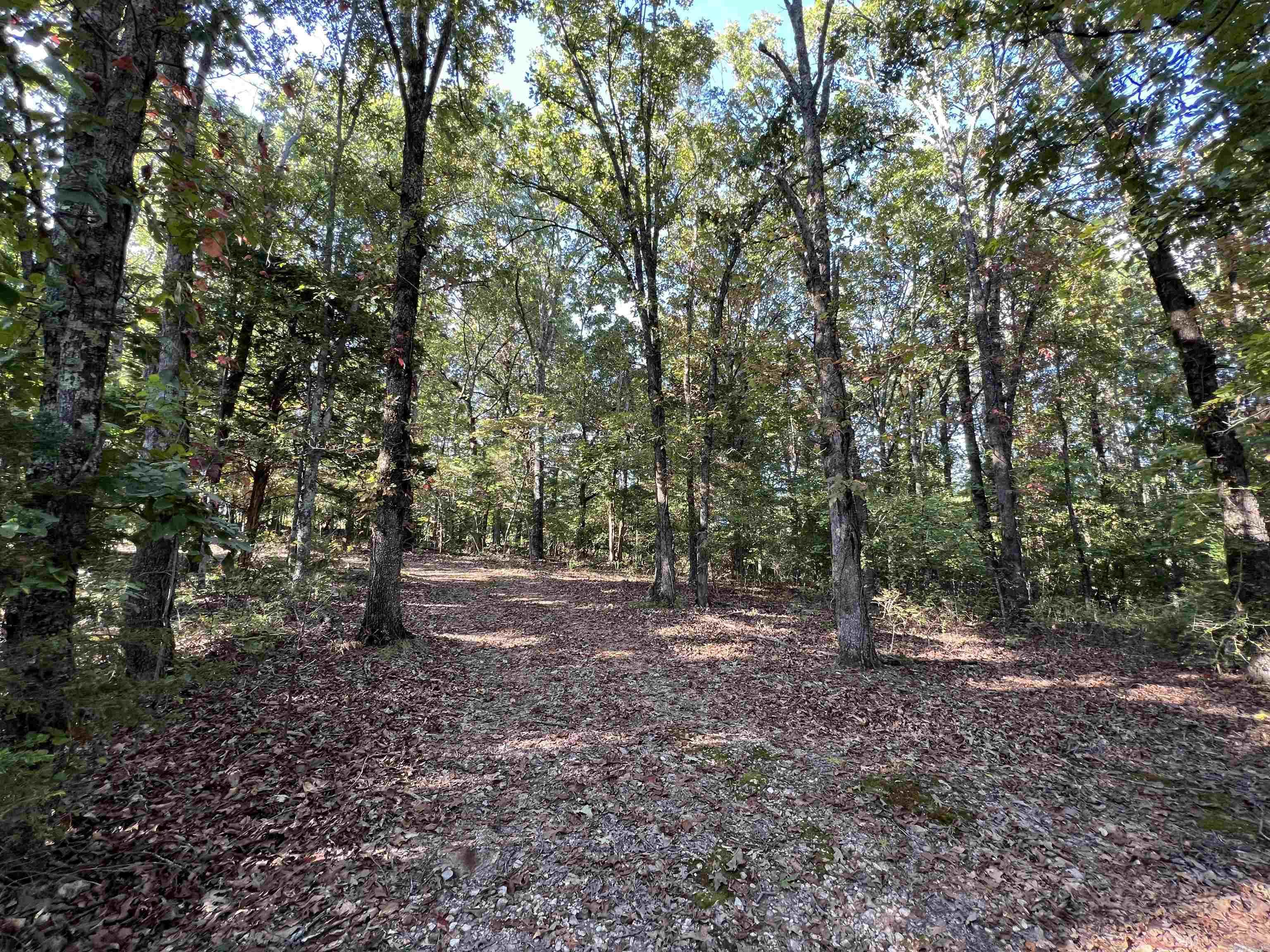 654  Warrior Drive  Harriet, AR