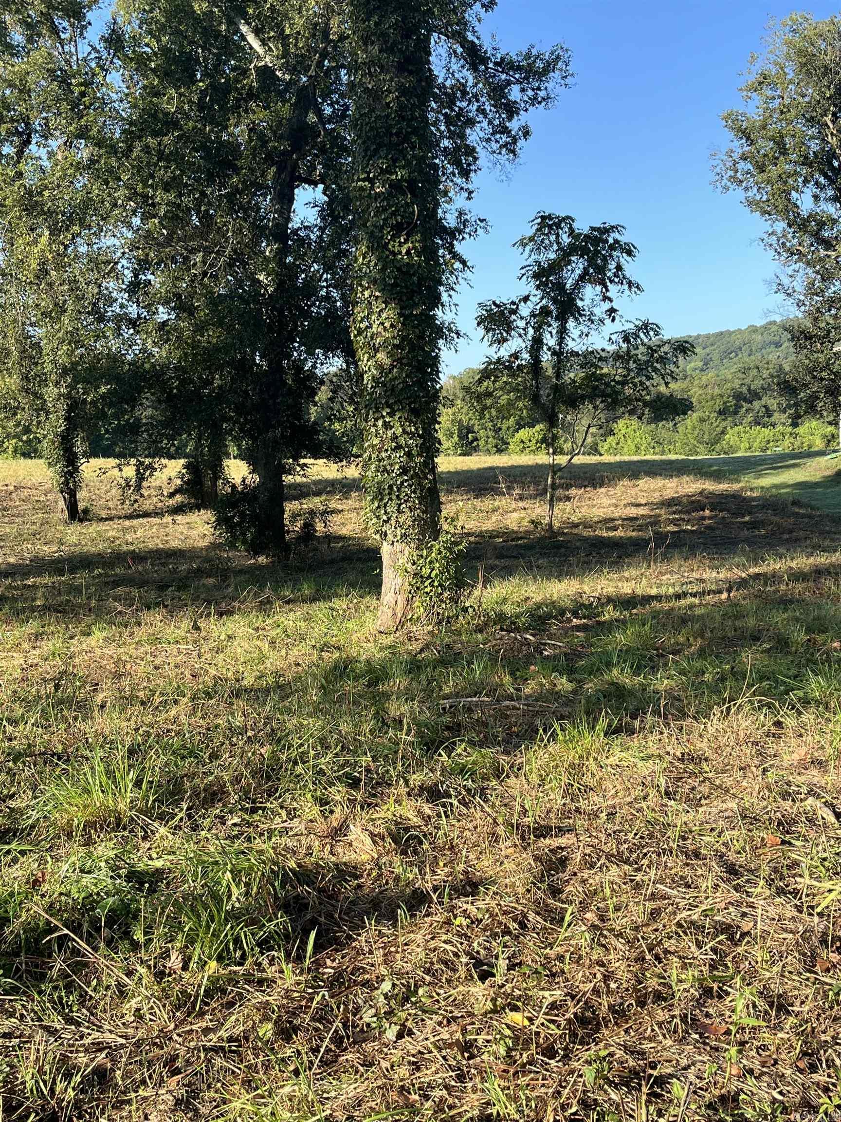 Lot 13  Yorktown  Mountain View, AR