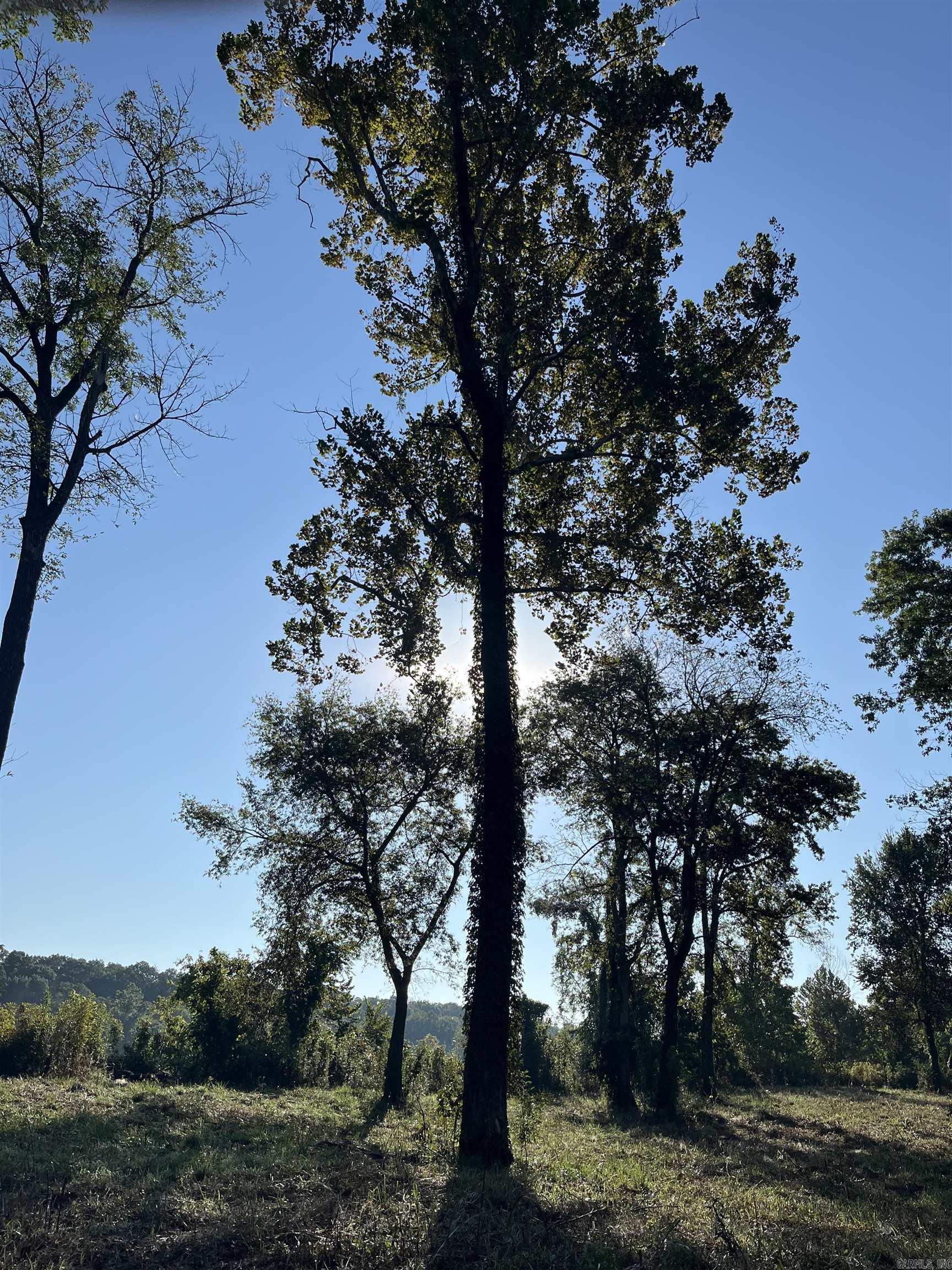 Lot 13  Yorktown  Mountain View, AR